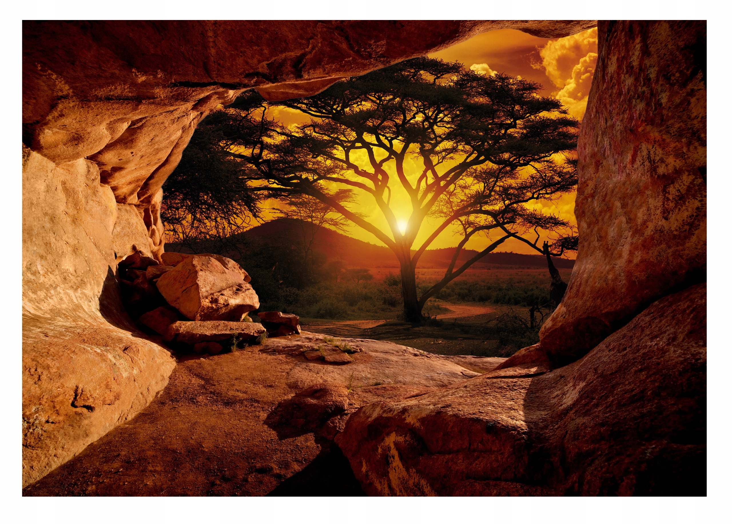Fototapeta Safari Afrika Jeskyně 3D Do Ložnice Obývacího Pokoje Tapeta 368x254