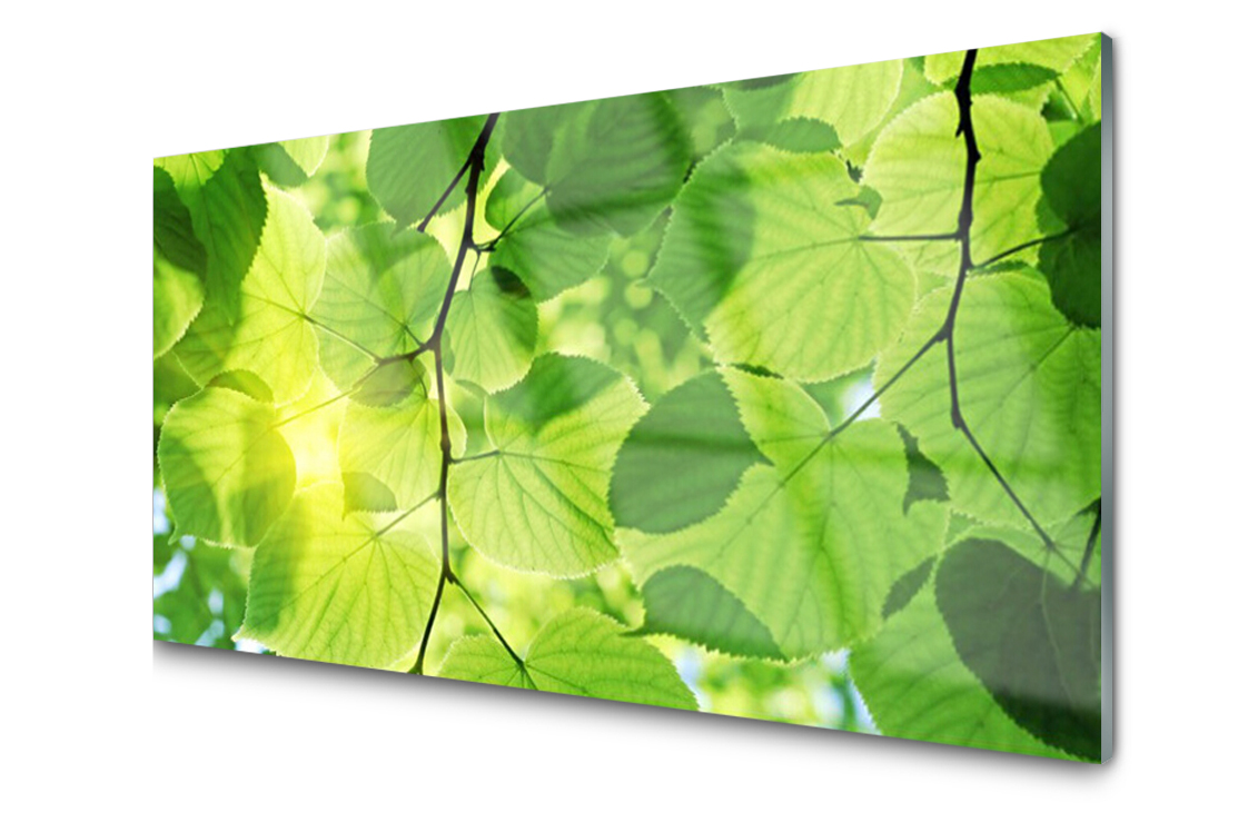 

Panel szklany Płytka Liście Roślina 140x70