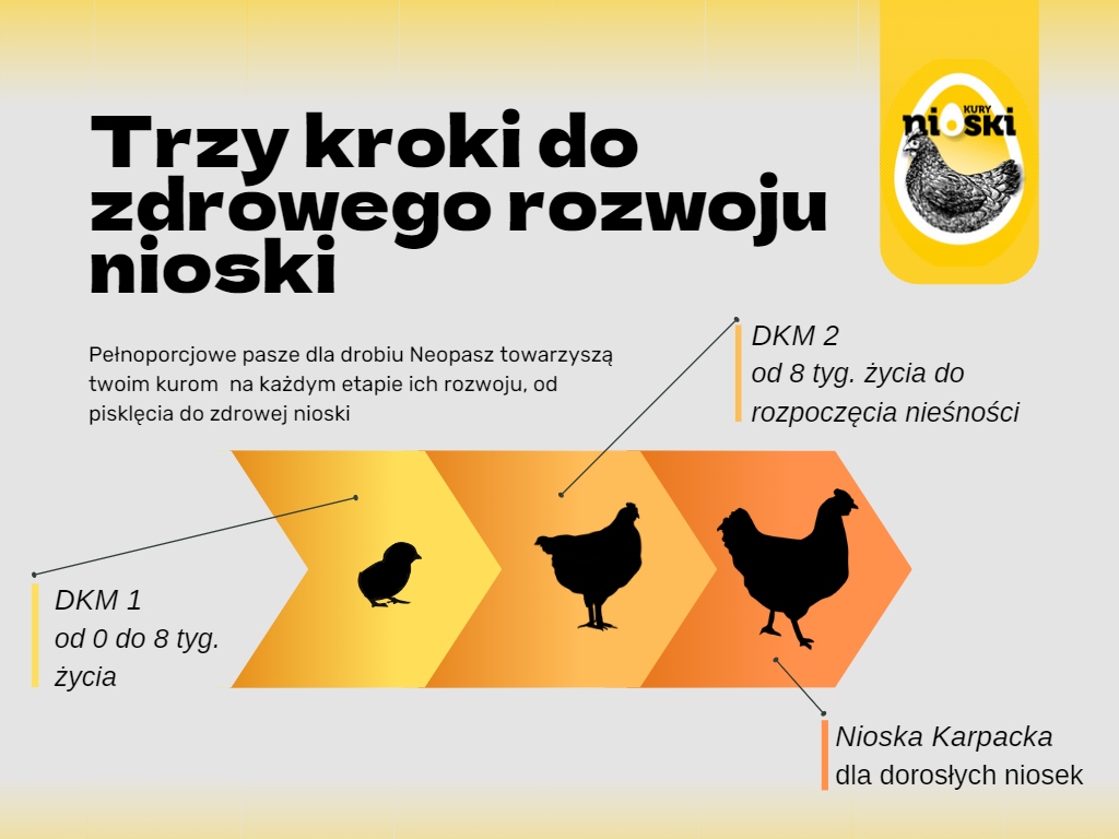 KONCENTRAT DLA KUR NIOSEK NEOPASZ PASZA KARMA 25KG Kod producenta PASZA KURA NIOSKA KONCENTRAT PEŁNY 25KG