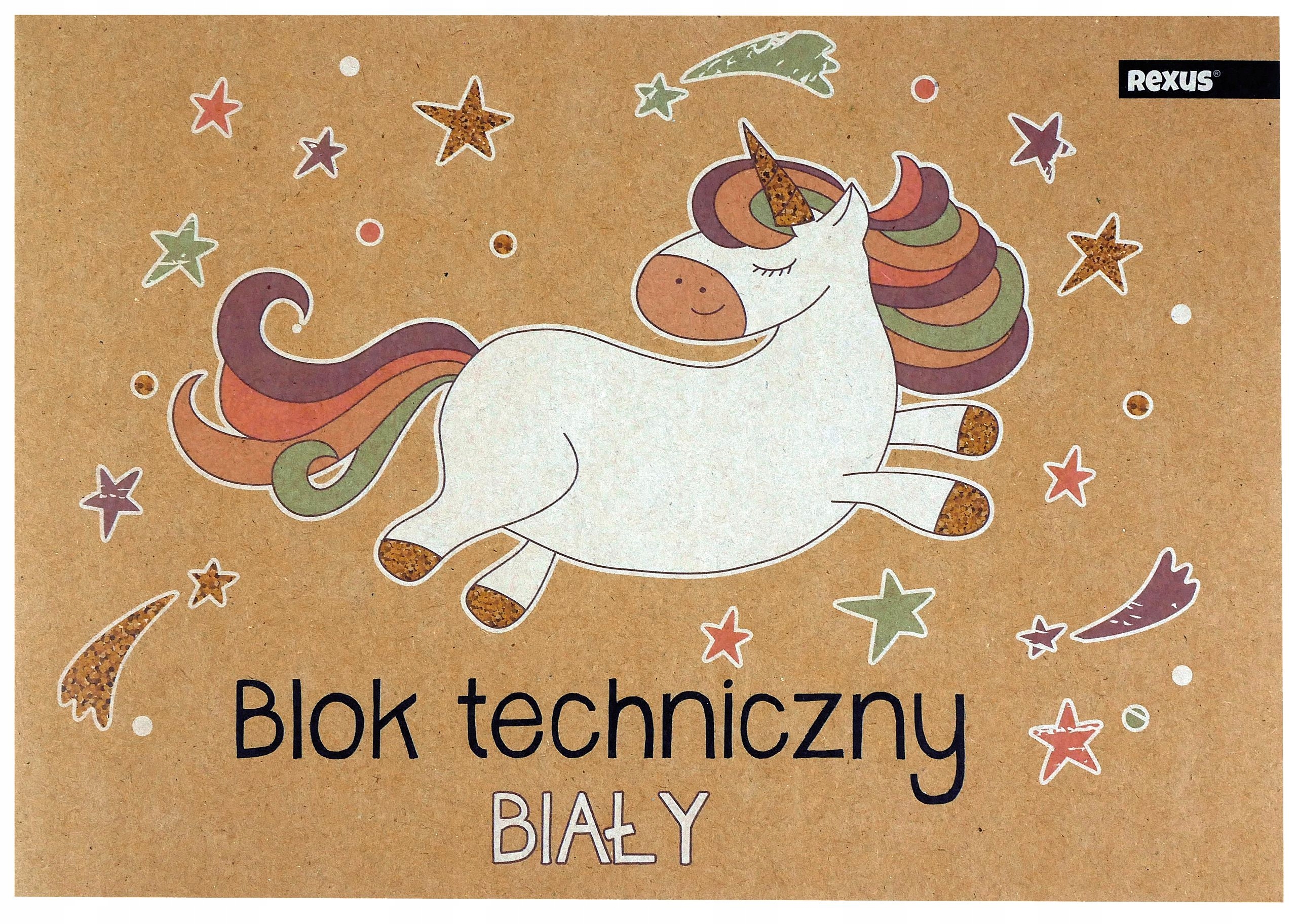 BLOK TECHNICZNY BIAŁY 10 KARTEK FORMAT A4 BENIAMIN