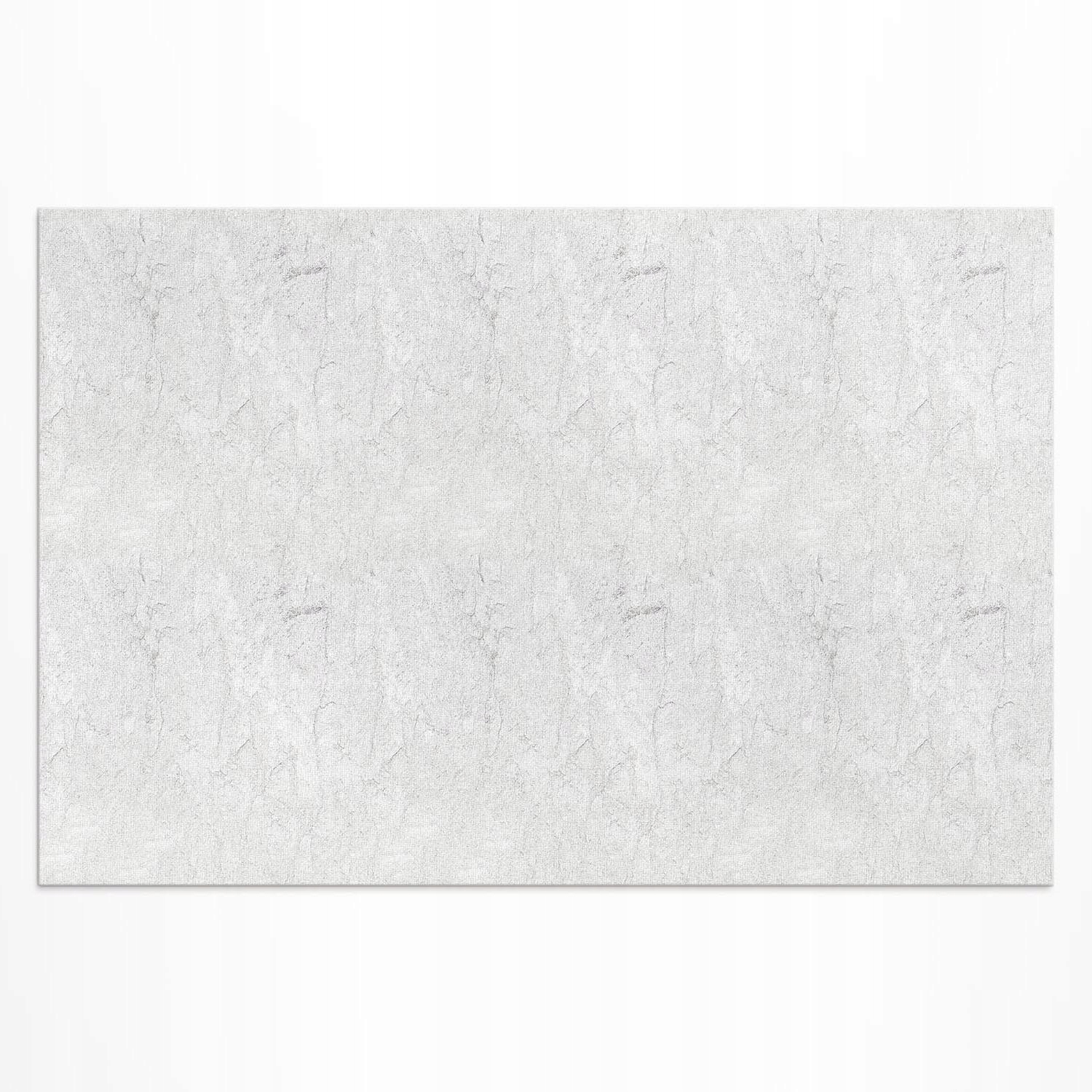 Vinylový koberec do záhrady na terasu Textúra betónu svetlý kameň 180 x 120 cm