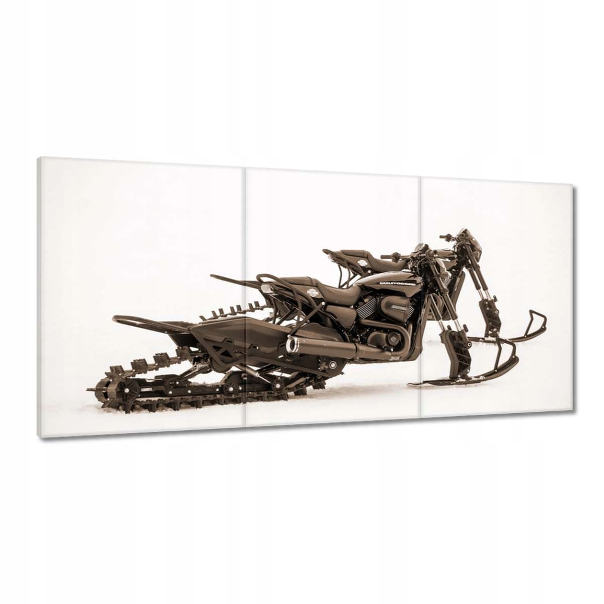 Obrazy 180x90 Harley Davidson Motocykel