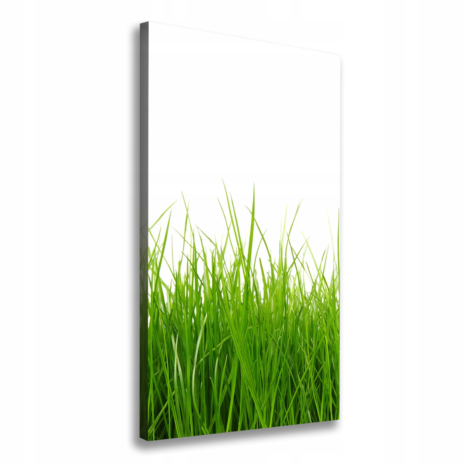 

Foto obraz na płótnie Zielona trawa 60x120 cm