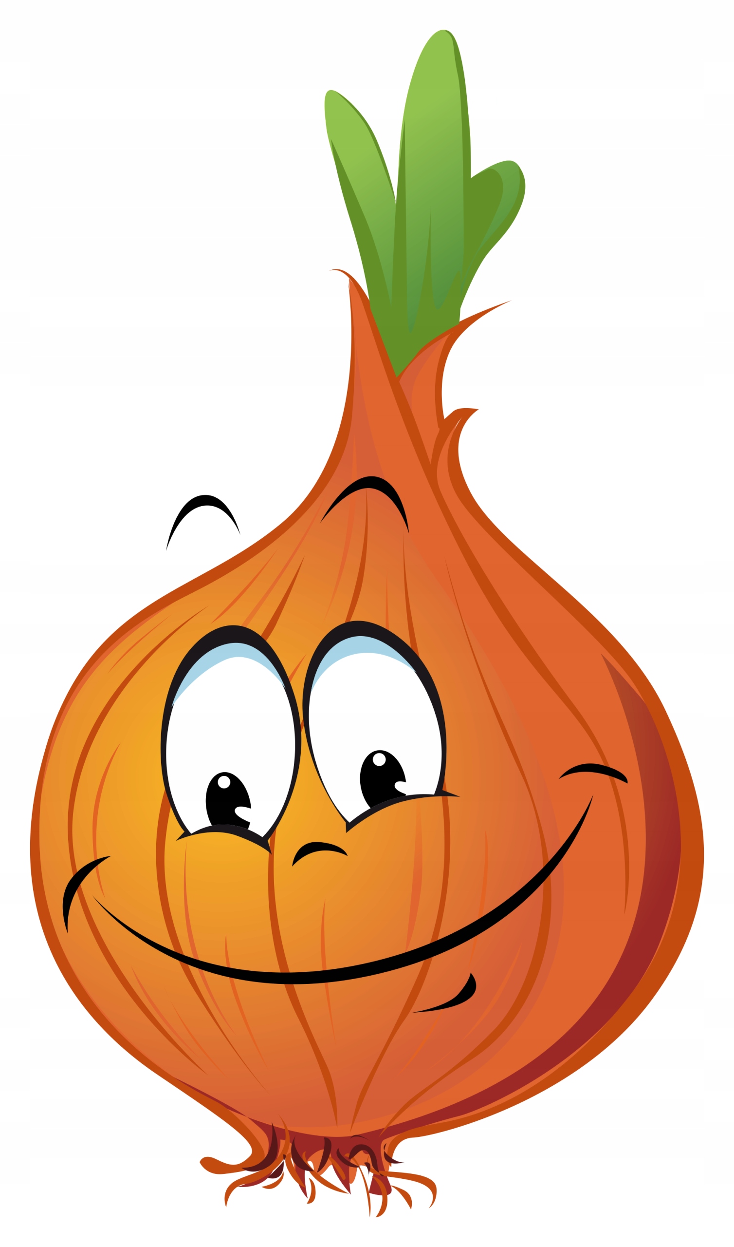 

Naklejka Na Okno Lustro Cebula Buźka Warzywa