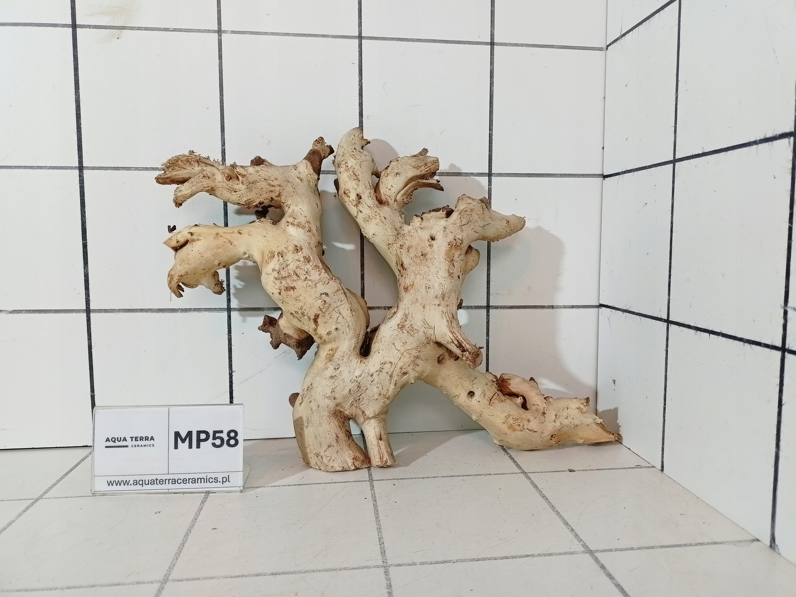 Korzeń Premium Mopani MP58 – Naturalny Gotowy do Akwarium Terrarium Desert