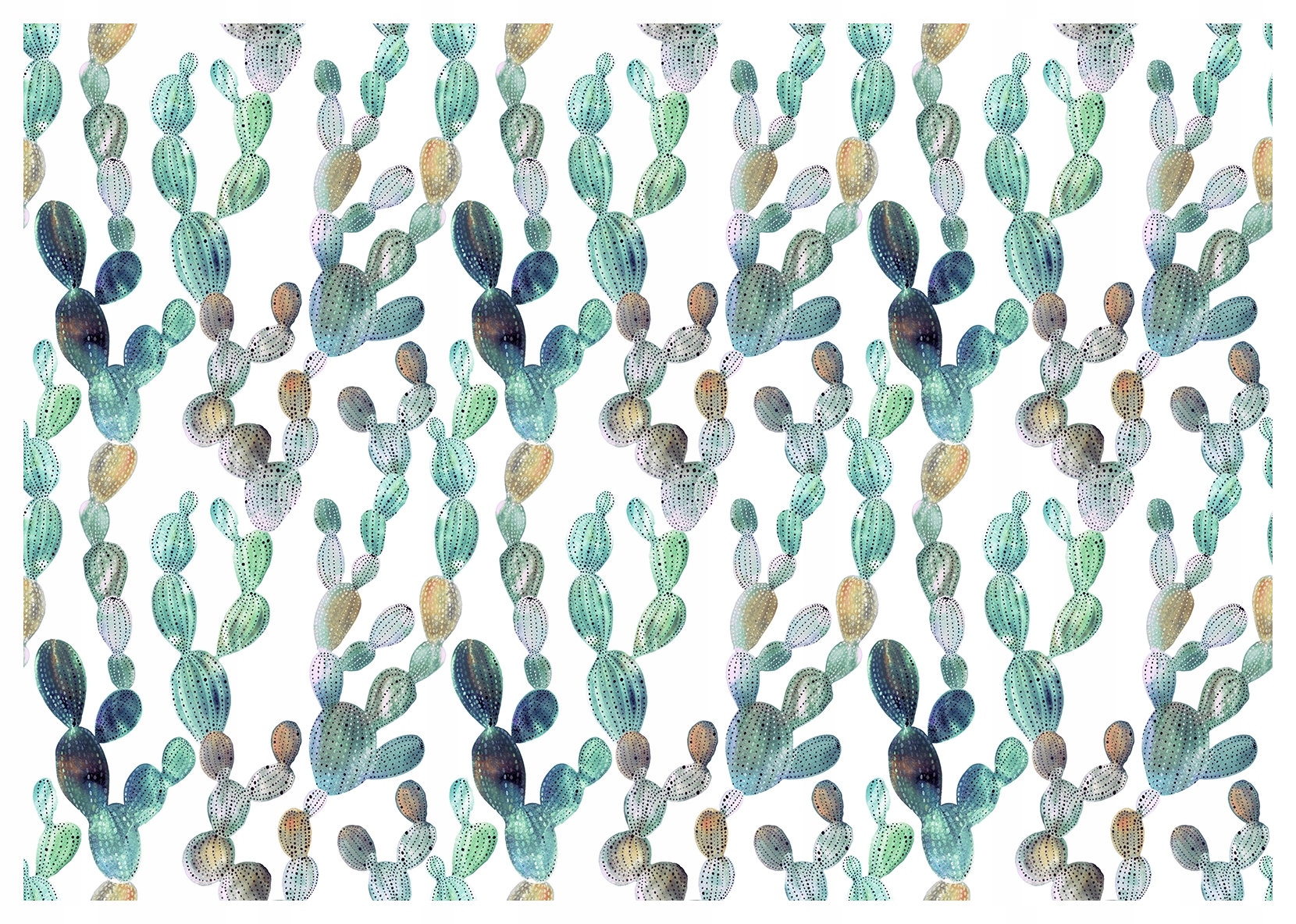 Fototapeta Zelené kaktusy na bílém pozadí pouštní elegance 250x175 lepidlo