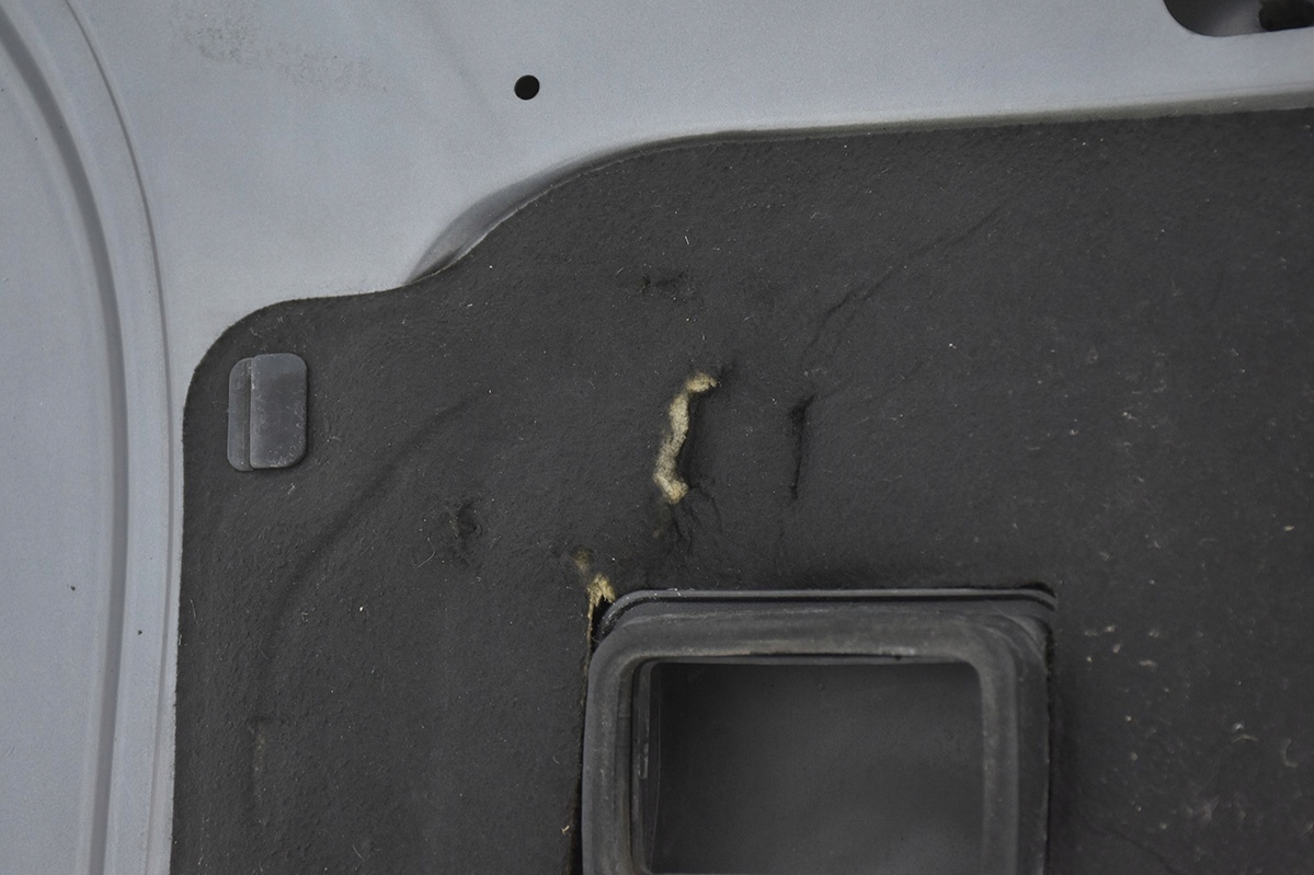Cofano VOLVO C30 V50 S40 II
