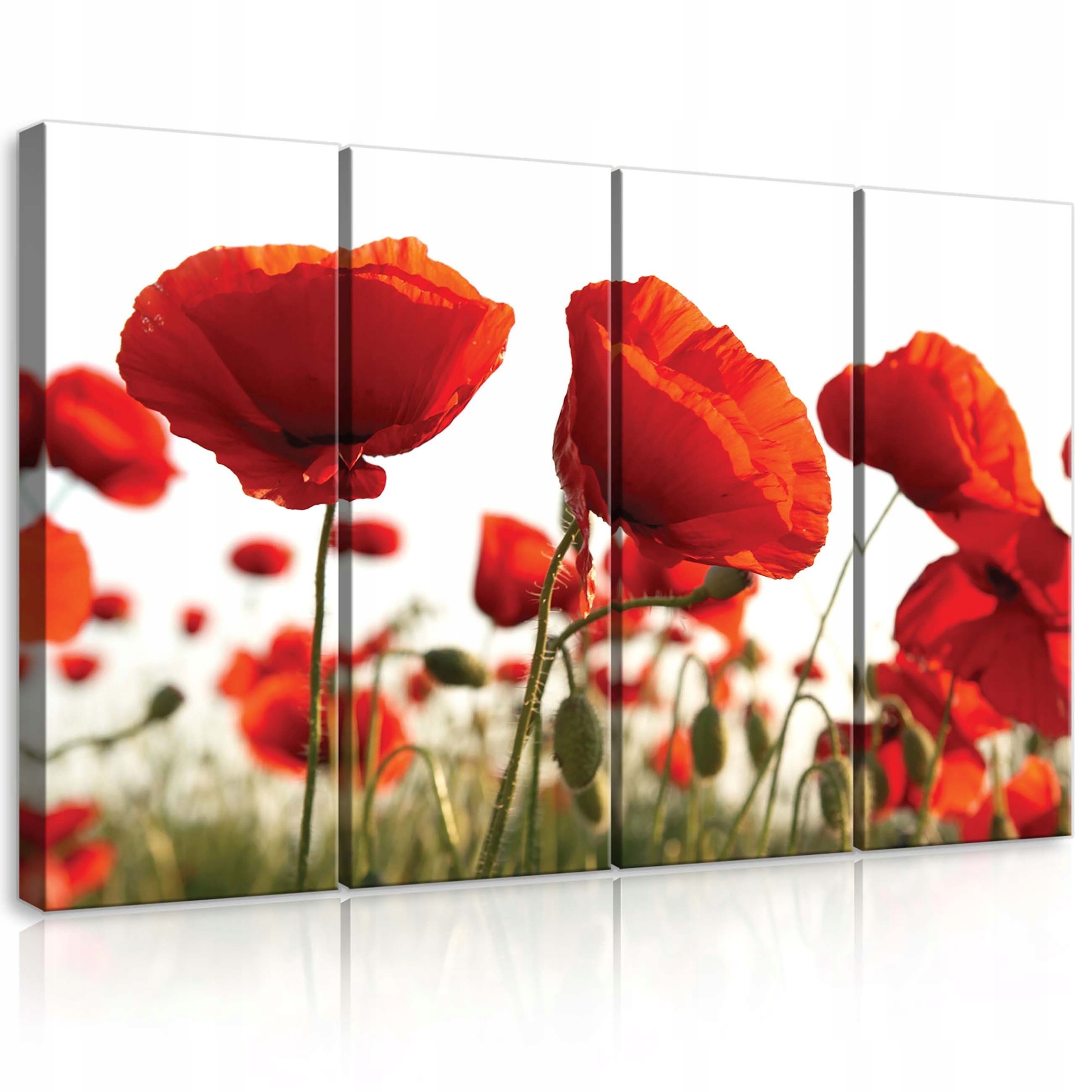 Obraz 120x80 Maky červené pole leto slnko príroda kvety dekor steny