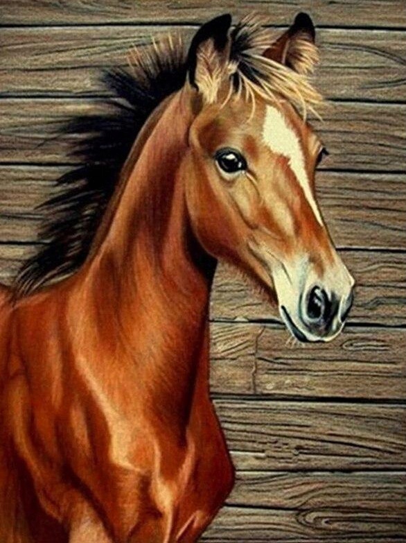 

Obraz do malowania po numerach z Ramą Zestaw na pr