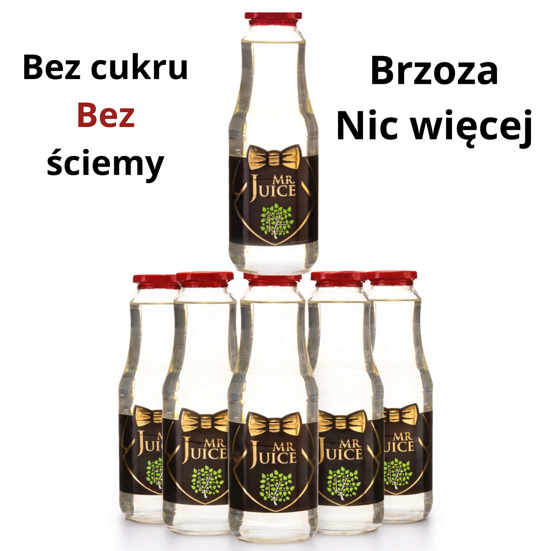 Sada březového džusu bez přidaného cukru, sterilizovaná, 1.0 lx6