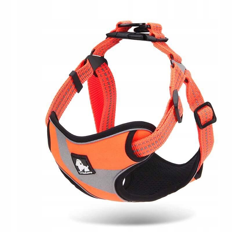 

Szelki step in Daily Plus Truelove Podenco szpic L