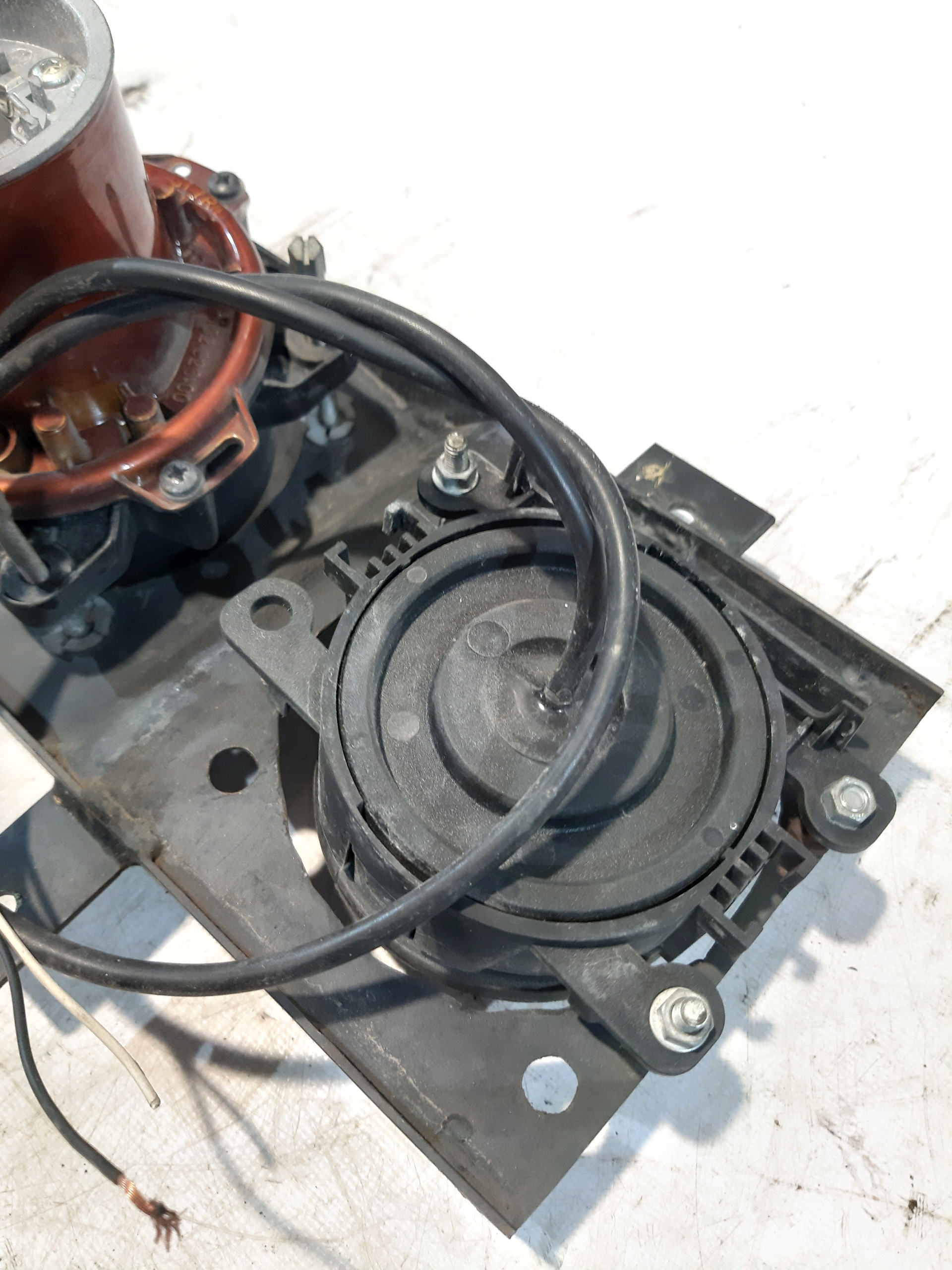 light 24V right front AUTOBUS ISUZU TURQUOISE