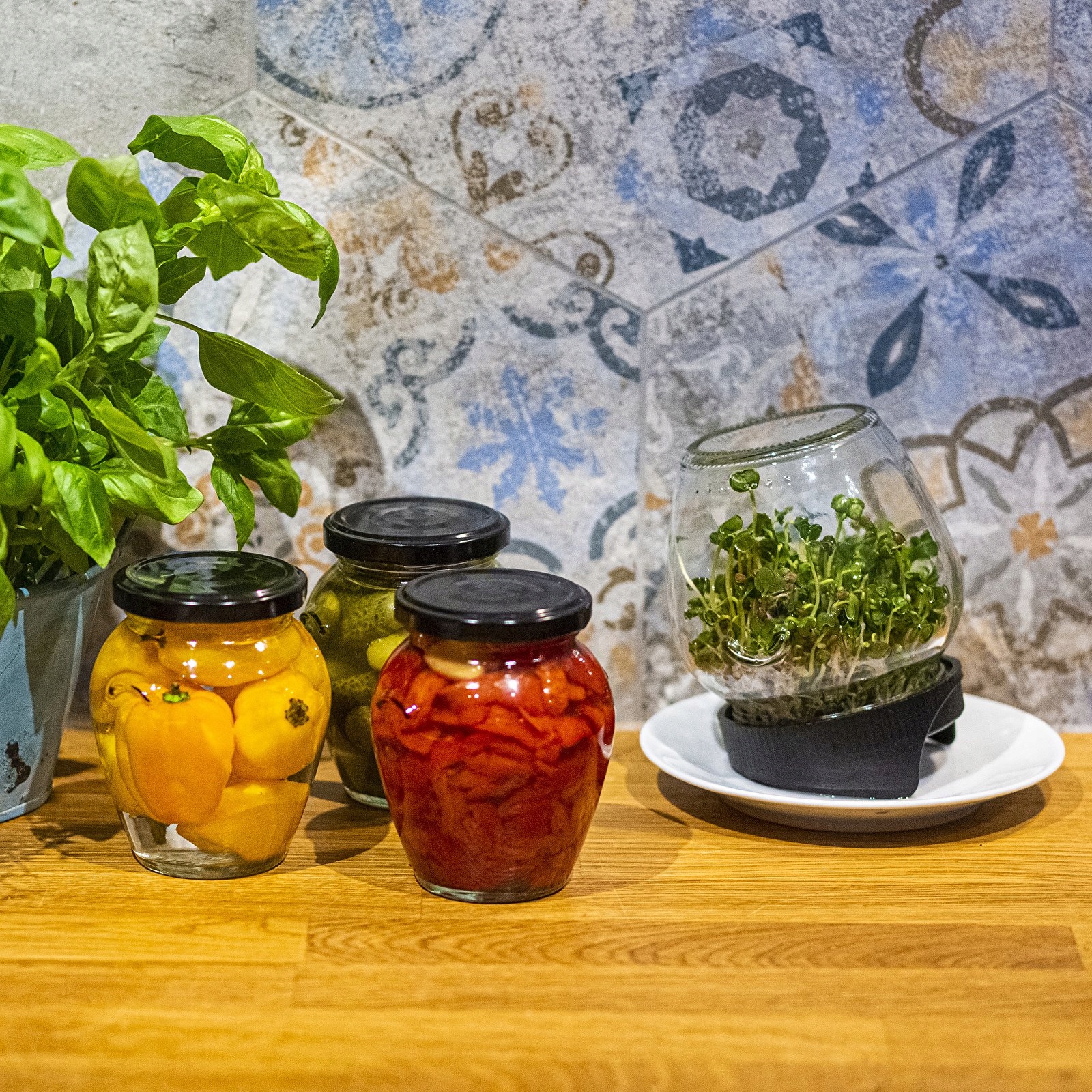 Kiełkownica słoikowa Twist-off + nasiona BROWIN 745747 580 ml Liczba poziomów 1