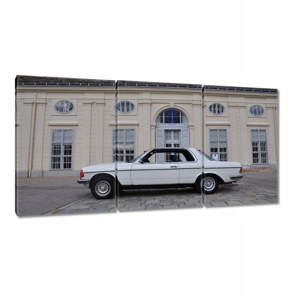 

Obrazy 120x60 Mercedes W123