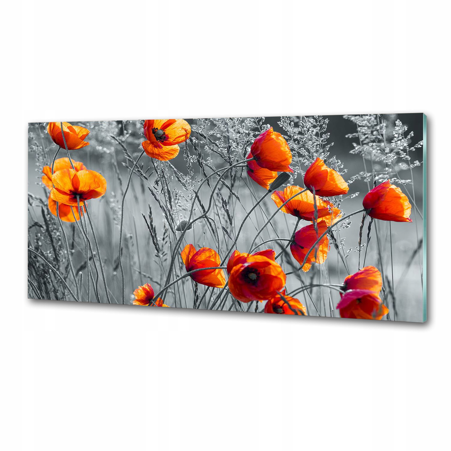 Panel dekor sklo Poľné maky 125x50 cm Lepidlo