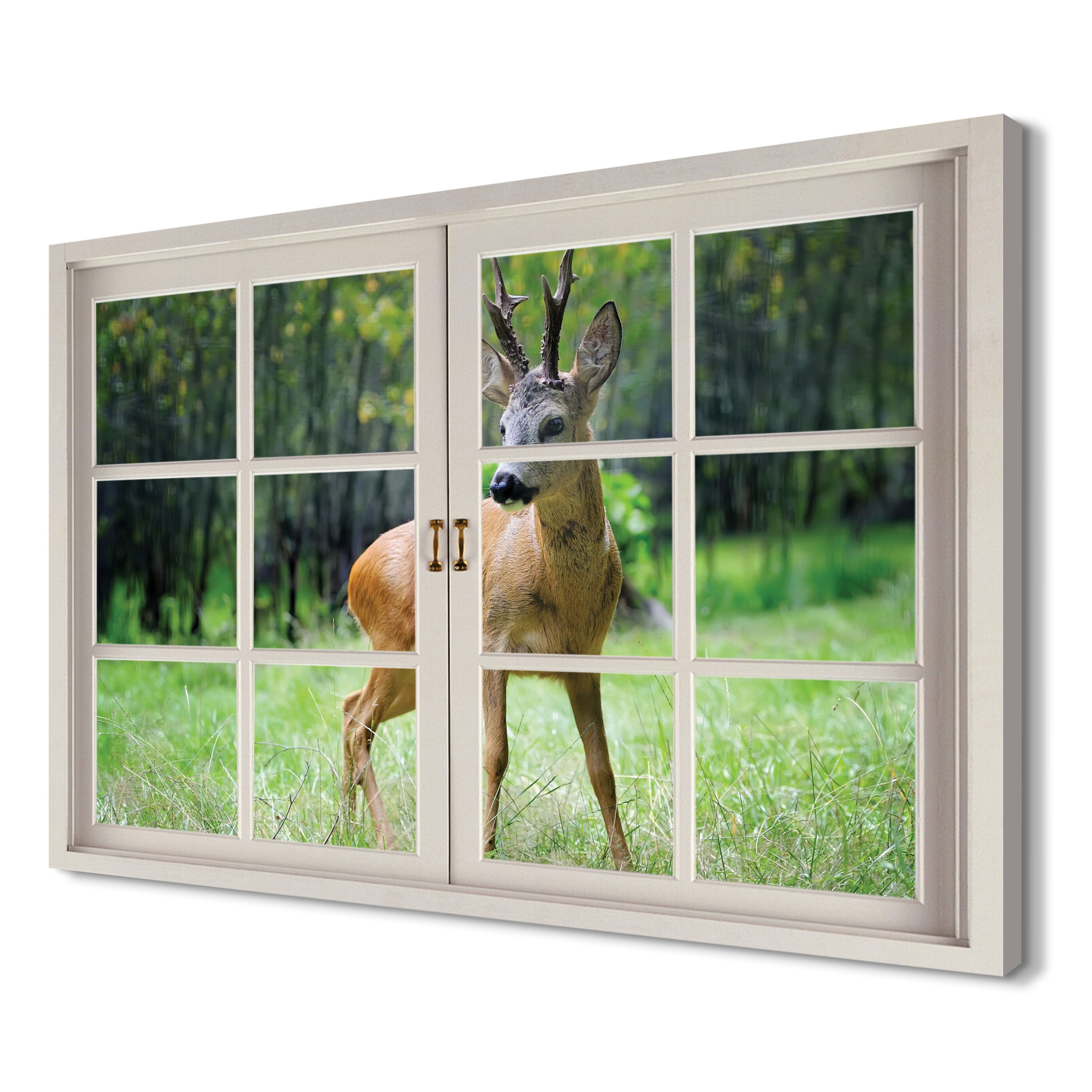 

Młode sarny w lesie 120x80 Wydruk na płótnie 3d