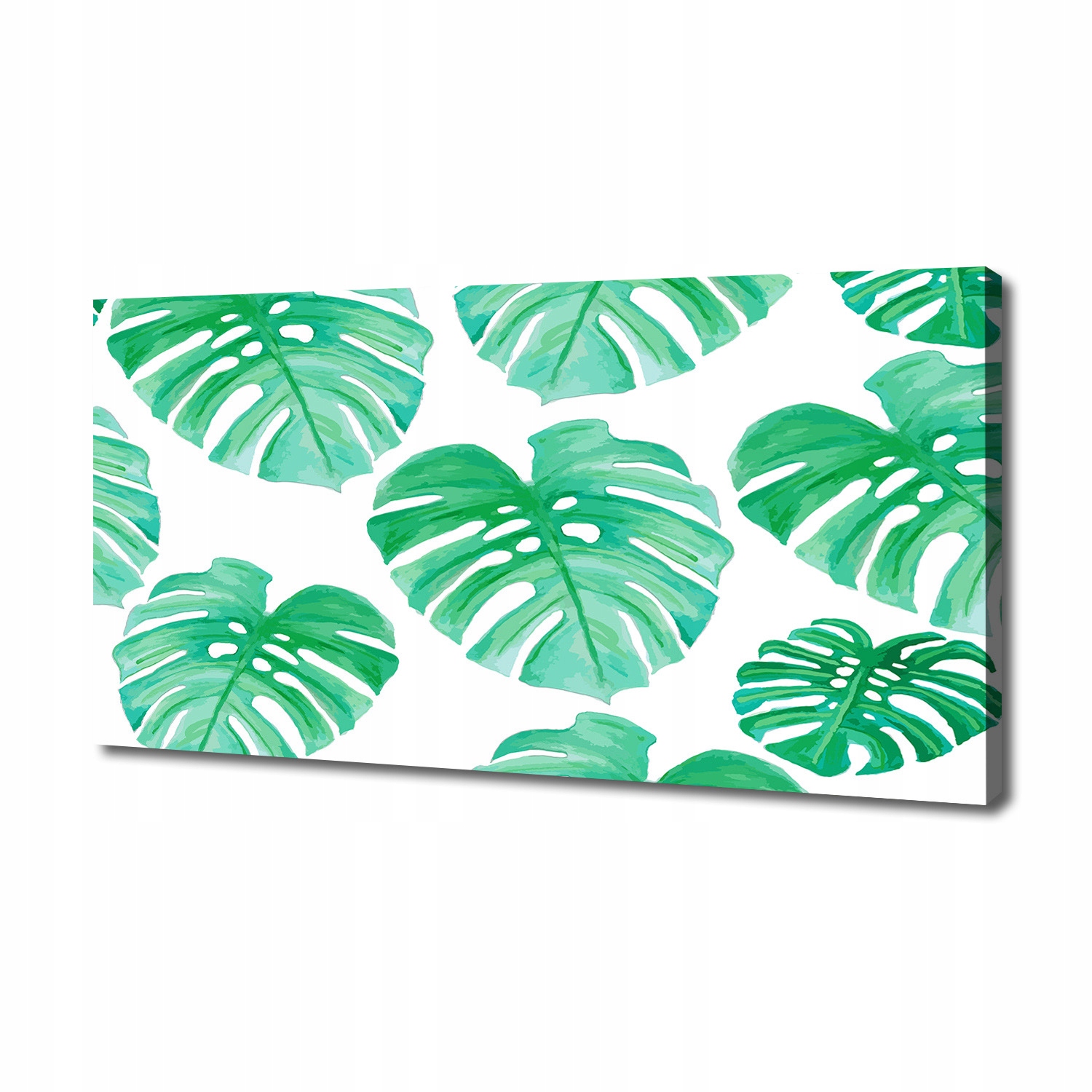 

Foto obraz canvas na ścianę Monstera 140x70 cm