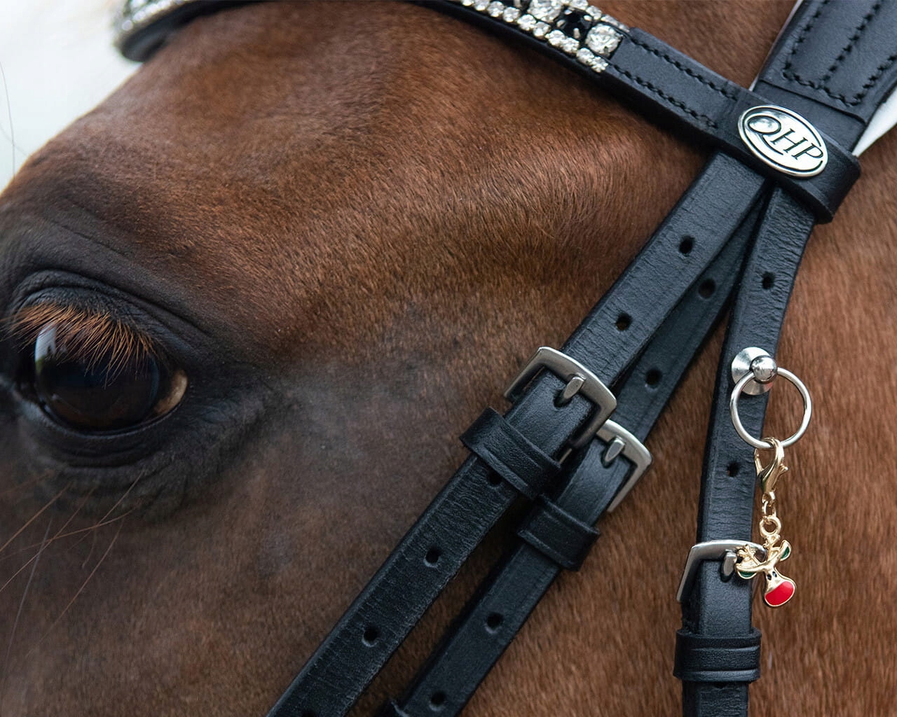 QHP Ozdoba do ogłowia CHRISTMAS Rudolph 24H