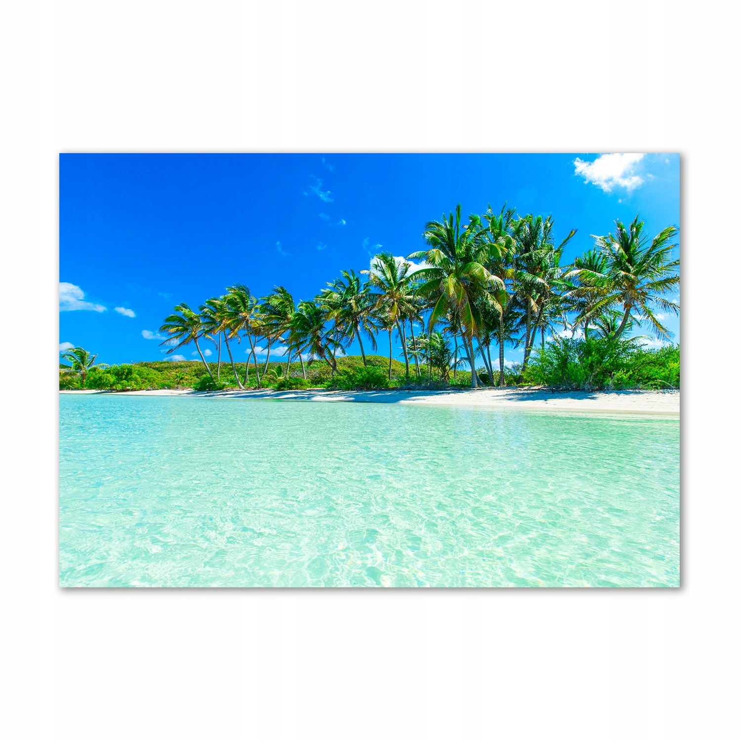 

Foto obraz szkło akrylowy Tropikalna plaża 100x70