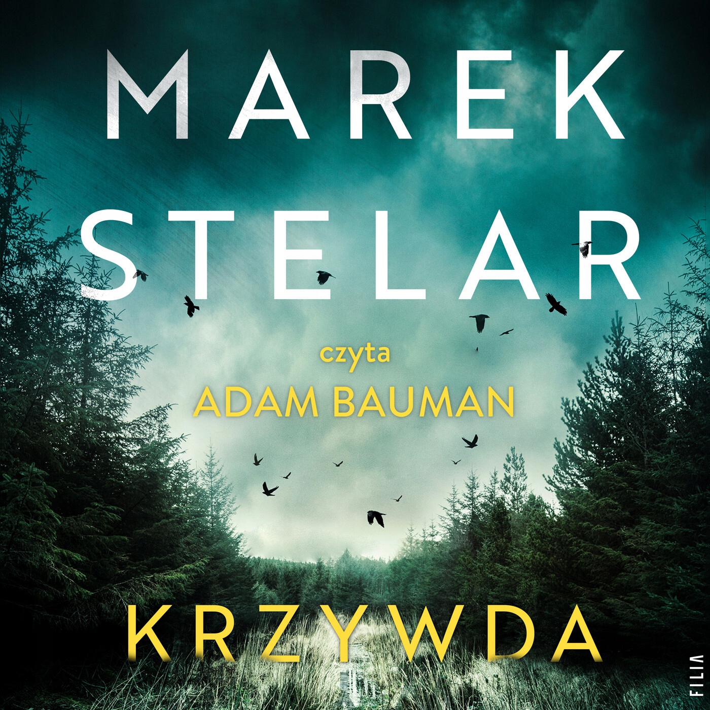Krzywda - Marek Stelar | Audiobook