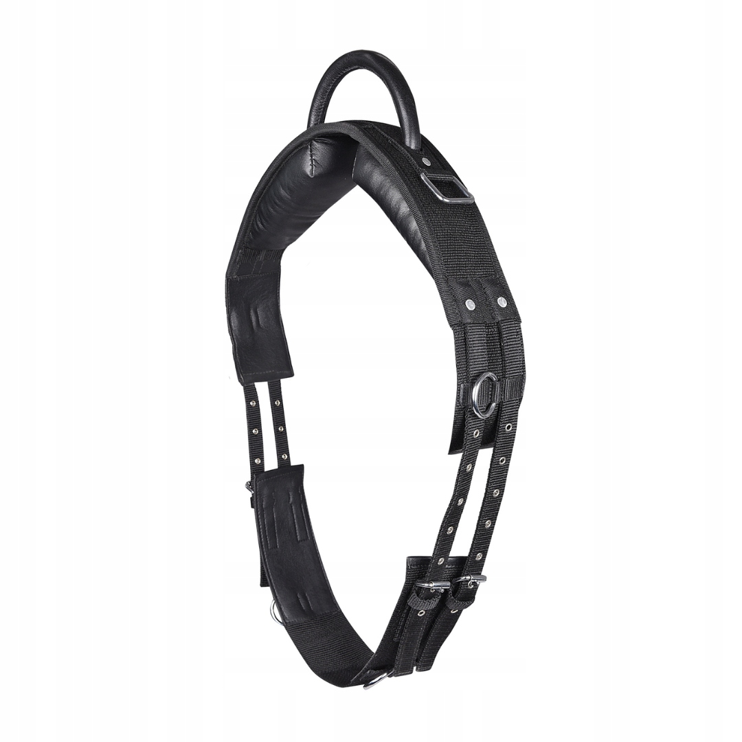 Pas do lonżowania z uchwytem Waldhausen Full