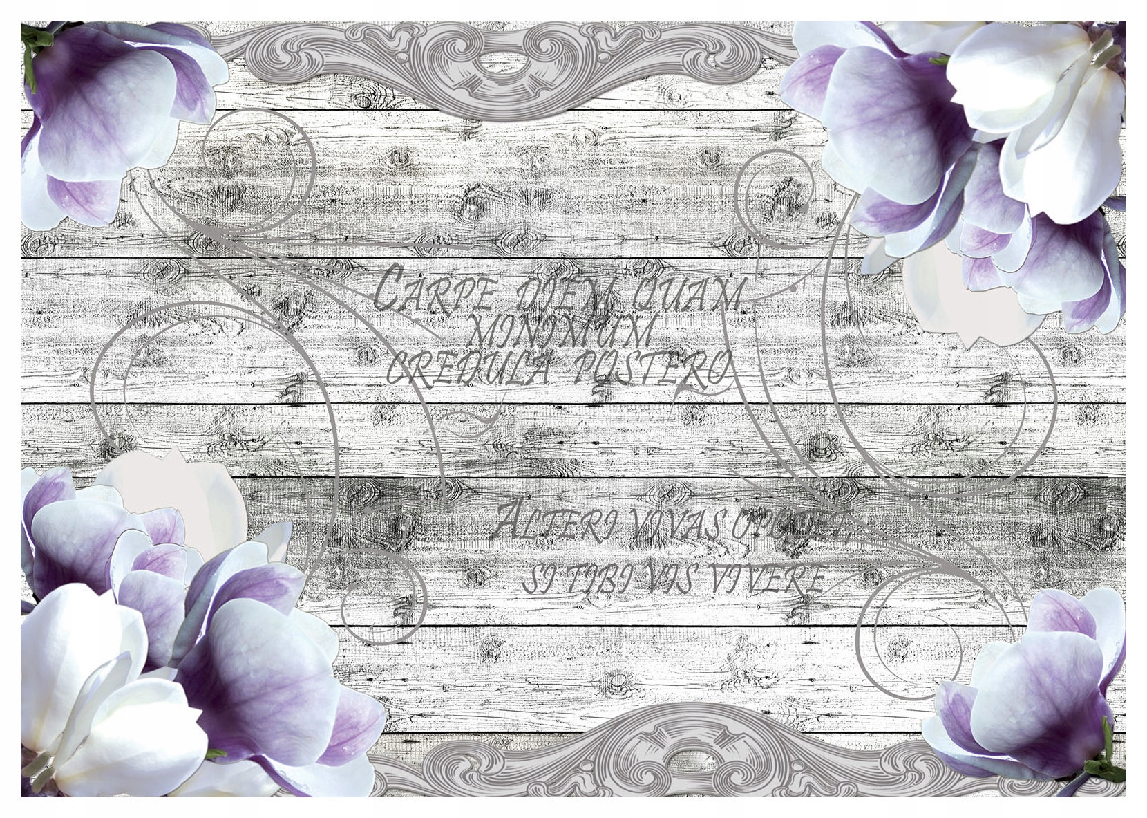 Fototapeta flizelina Magnolie Carpe Diem květiny vintage desky 200x140 lepidlo