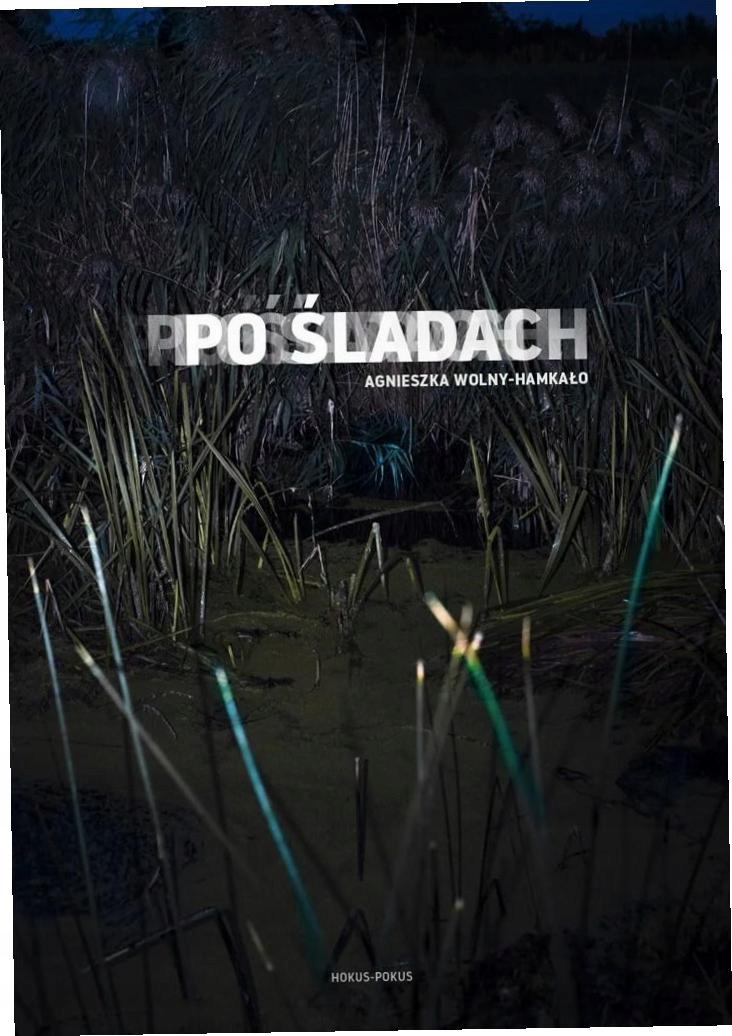 Po śladach Agnieszka Wolny-Hamkało-Zdjęcie-0