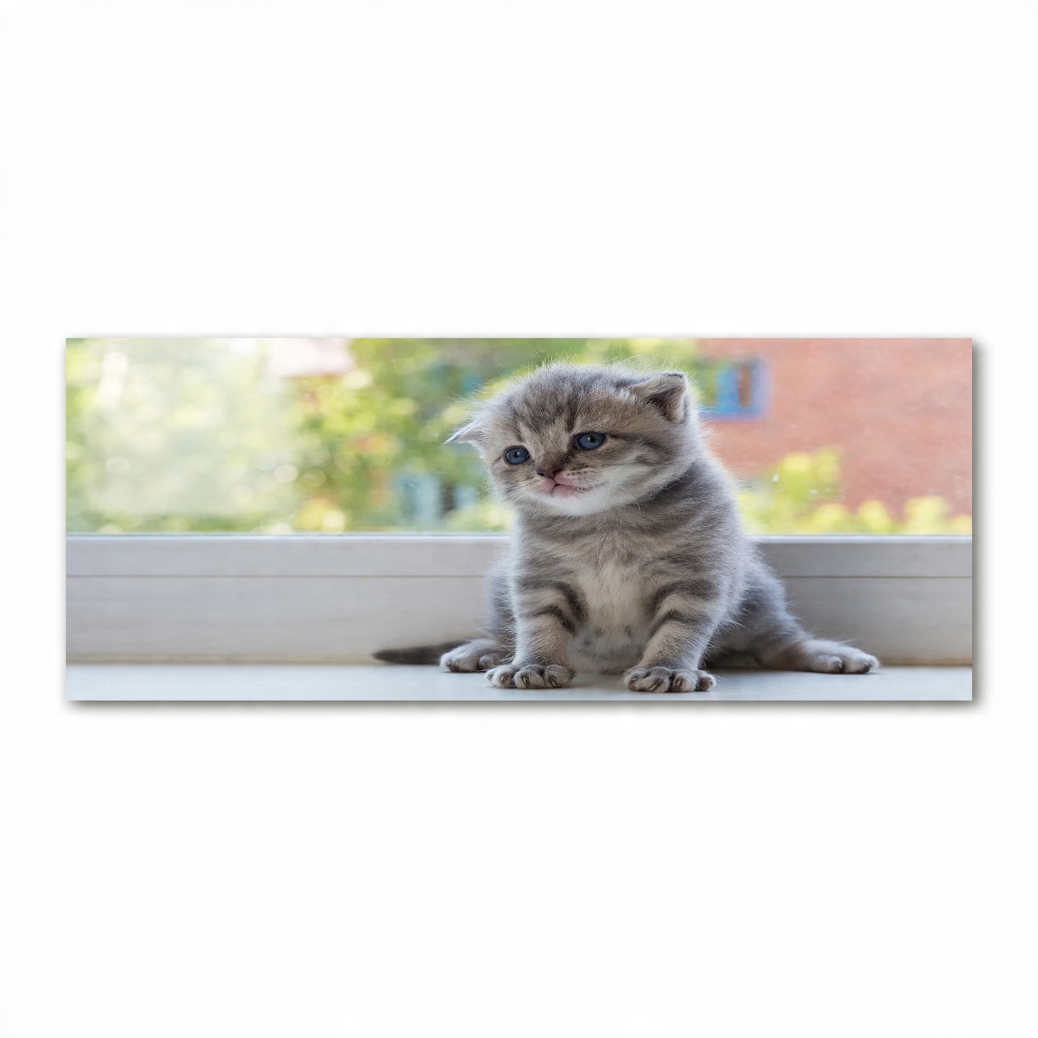 

Foto obraz szkło akryl Mały kot przy oknie 125x50