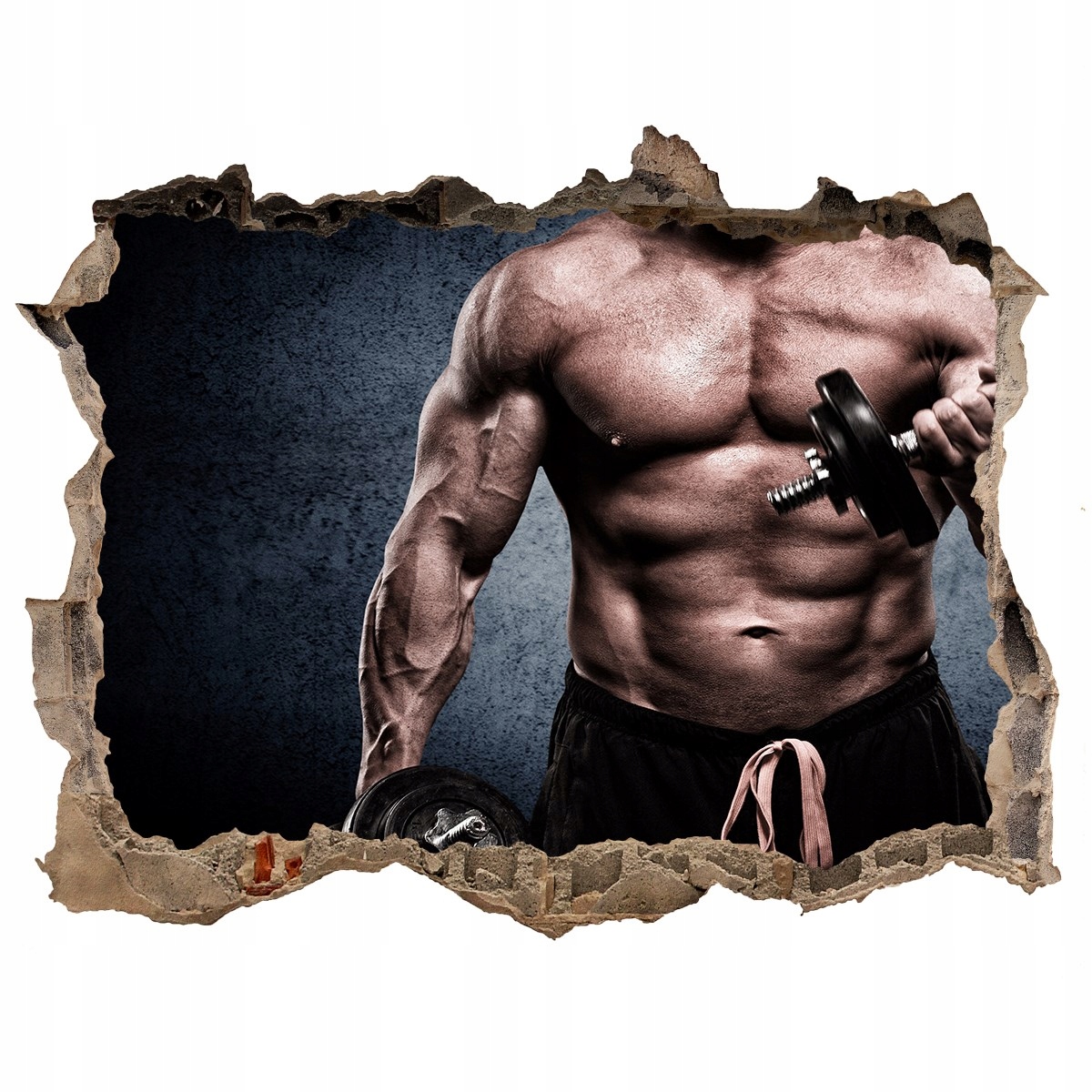 

Foto zdjęcie dziura na ścianę Budowa mięśni 120x81