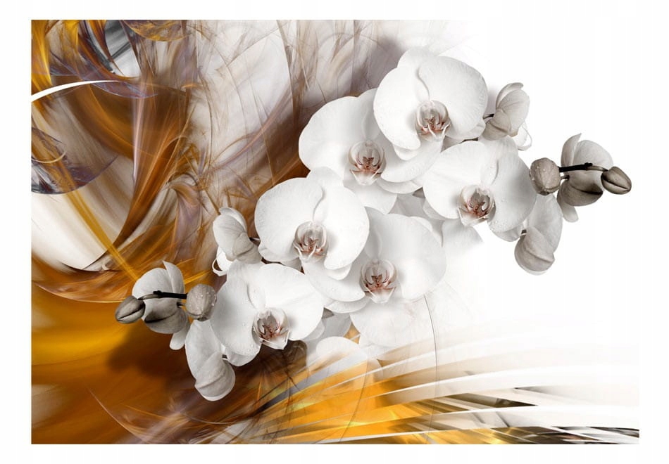 

Fototapeta - Orchidea w ogniu - 100X70