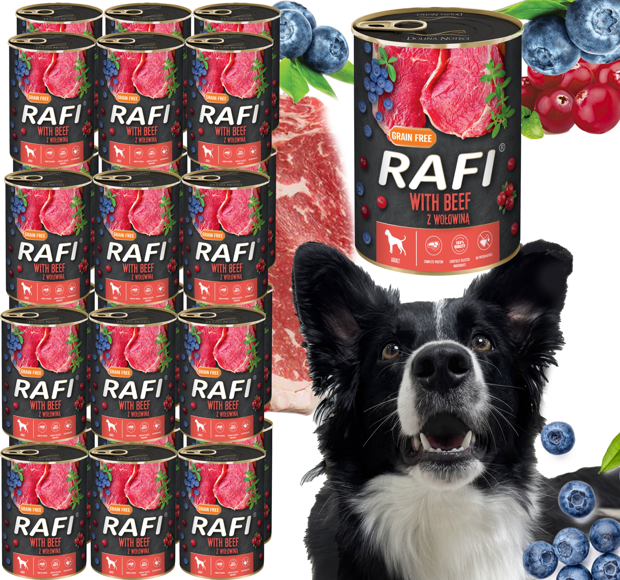 Krmivo pro psy s hovězím masem Borůvka Brusinky Dolina Noteci Rafi 400 g 24 ks