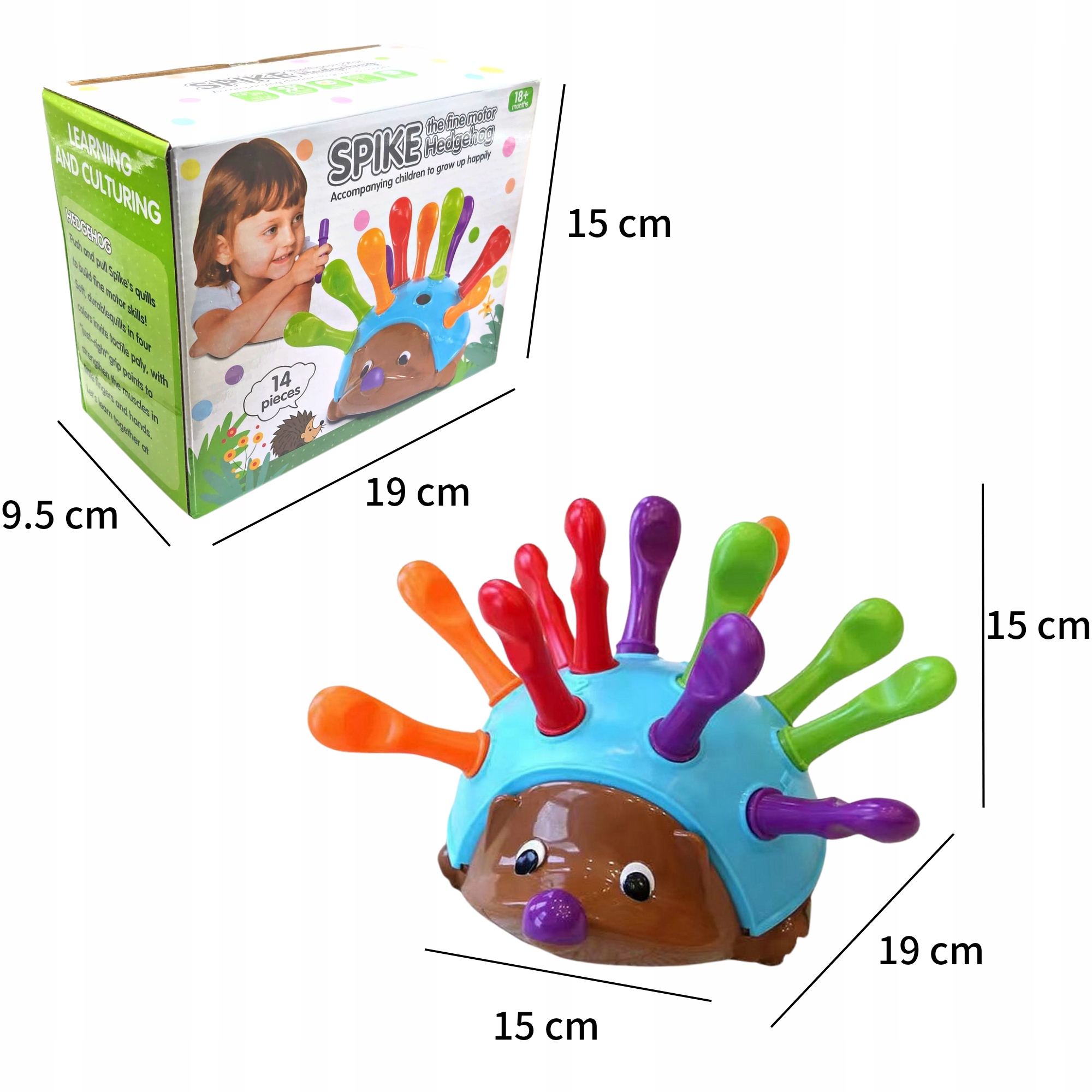 JEŻYK SORTER EDUKACYJNE ZABAWKI ZABAWKA INTERAKTYWNA Kolor dominujący wielokolorowy