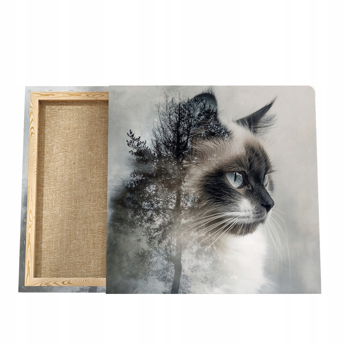 Obraz s kočkou Obraz na plátně s kočkou, portrét kočky
