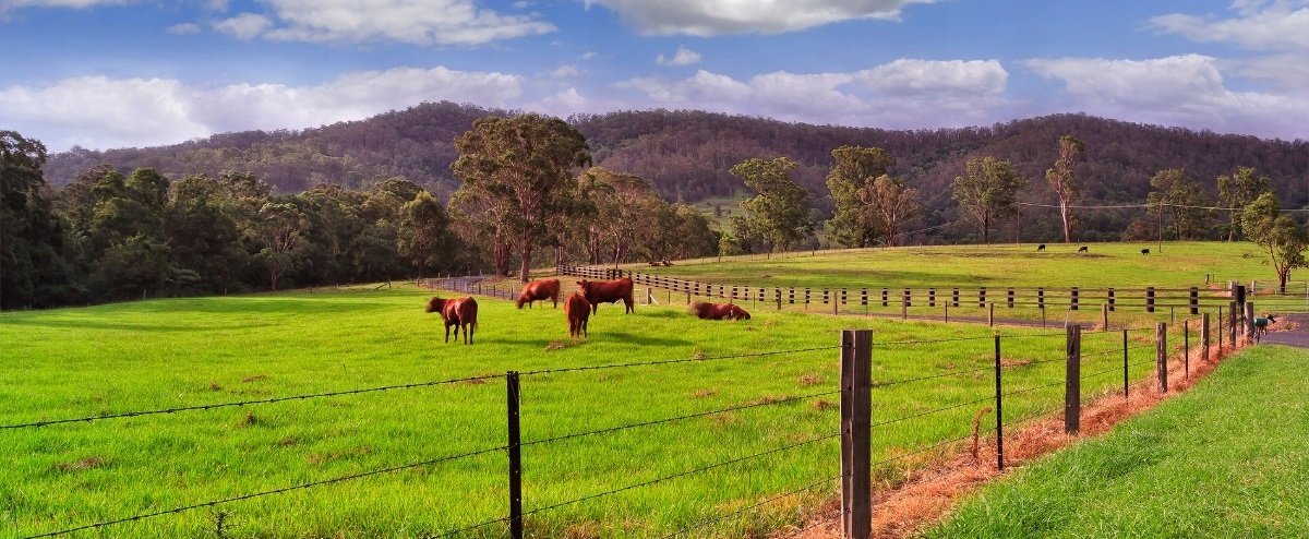 AKUMULATOR bateria ładowalna DO PASTUCH ELEKTRYCZNY elektryzator 12V 7AH Kod producenta pastuch bateria 12V zasilacz prostownik