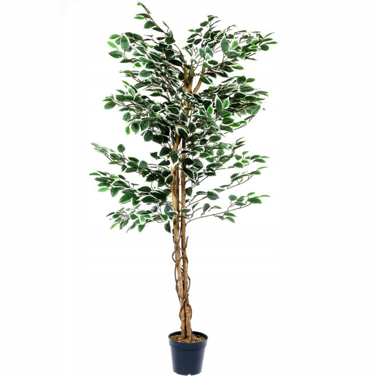 Plantasia Umělý strom fíkus, 160 cm