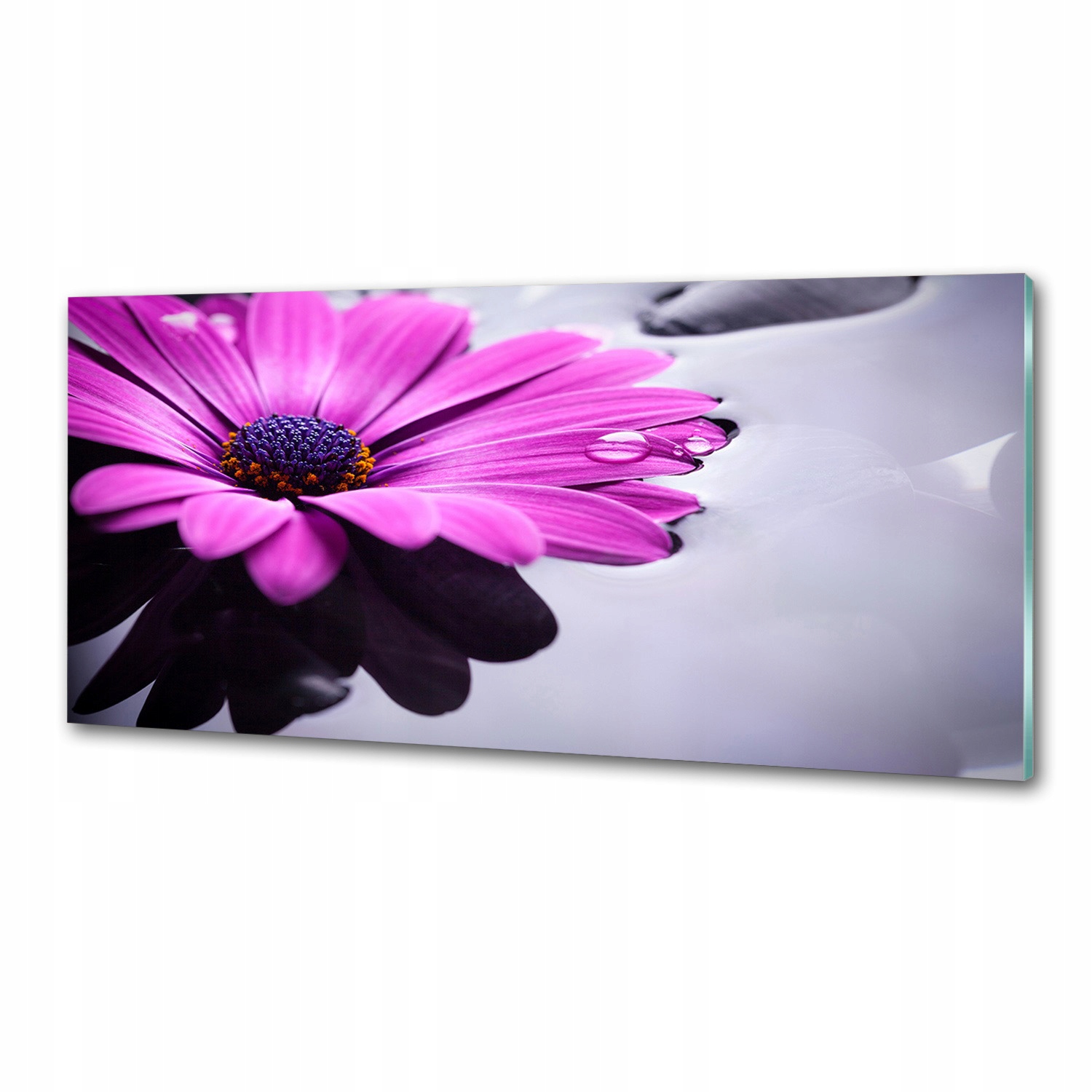 Sklenený panel do kuchyne Gerbera 125 x 50 cm Lepidlo