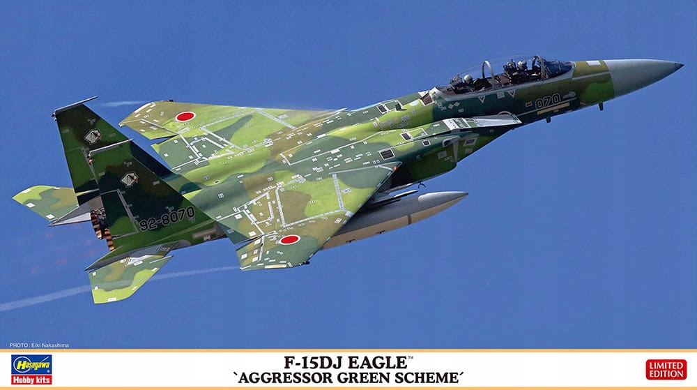F-15DJ Eagle Aggressor Green Scheme 1:72 Hasegawa 02460
