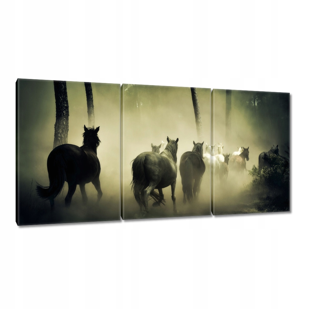 

Obrazy 120x60 Koń Konie Jeździectwo