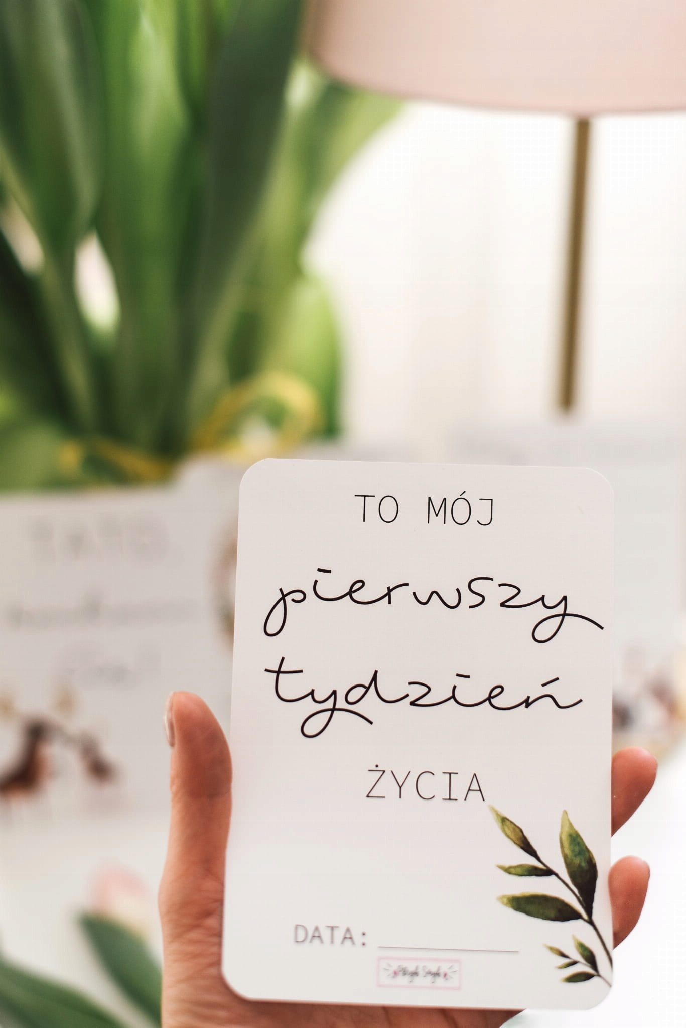 FOTO KARTY do zdjęć dla dziecka 37 szt. dwustronne Materiał karton