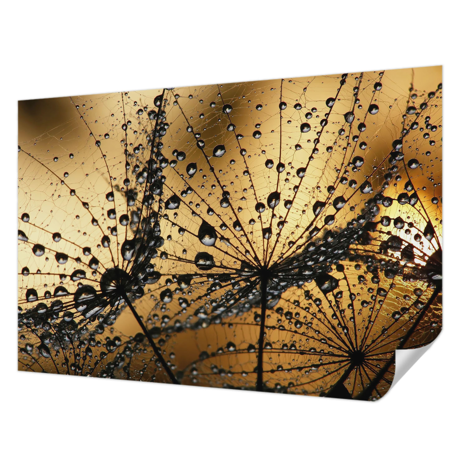 Samolepicí fototapeta Trvalá dekorace domu Jemné kapky 152 x 104 cm