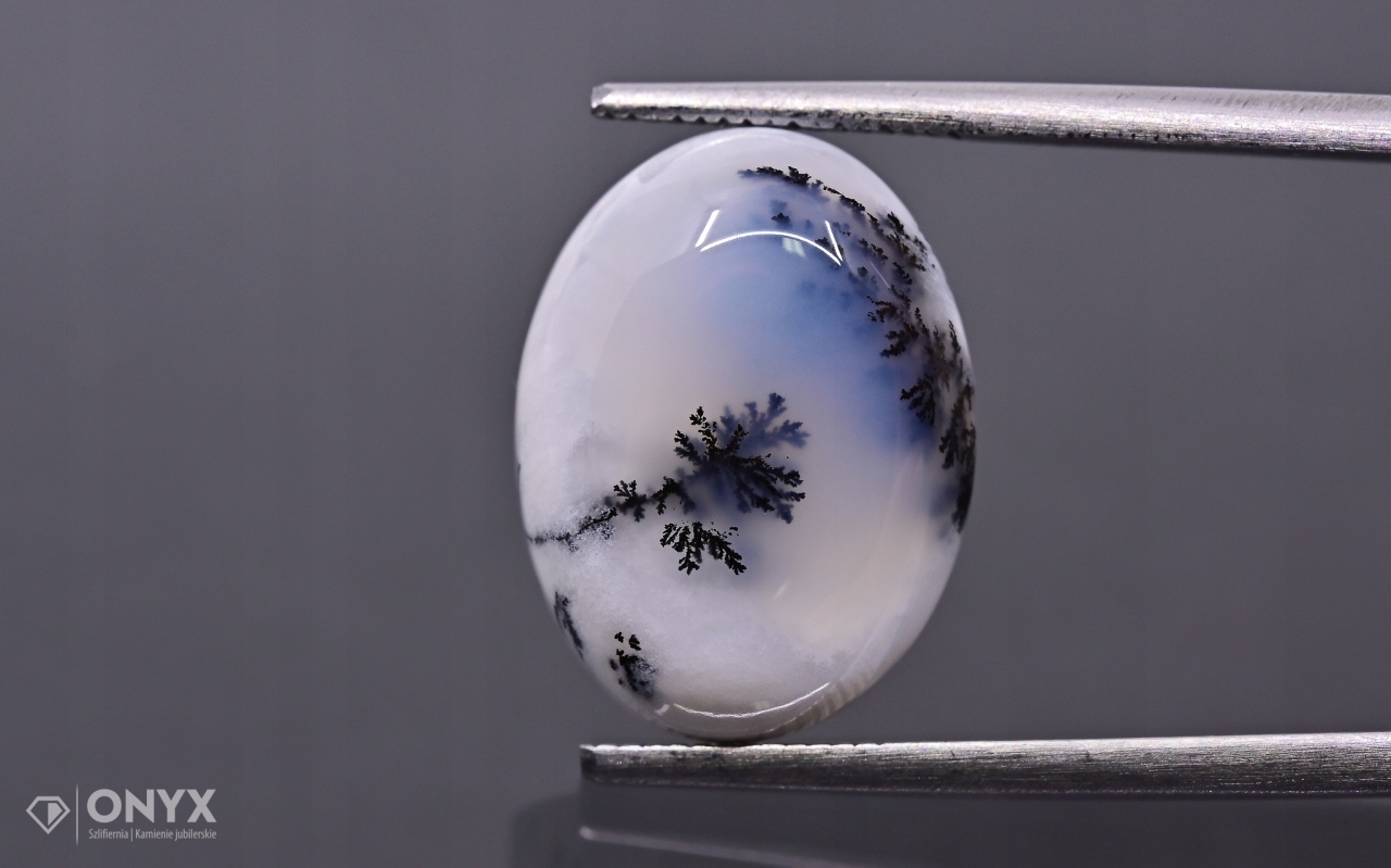 Dendritový achát z Turecka kabošon ovál 16x12 mm