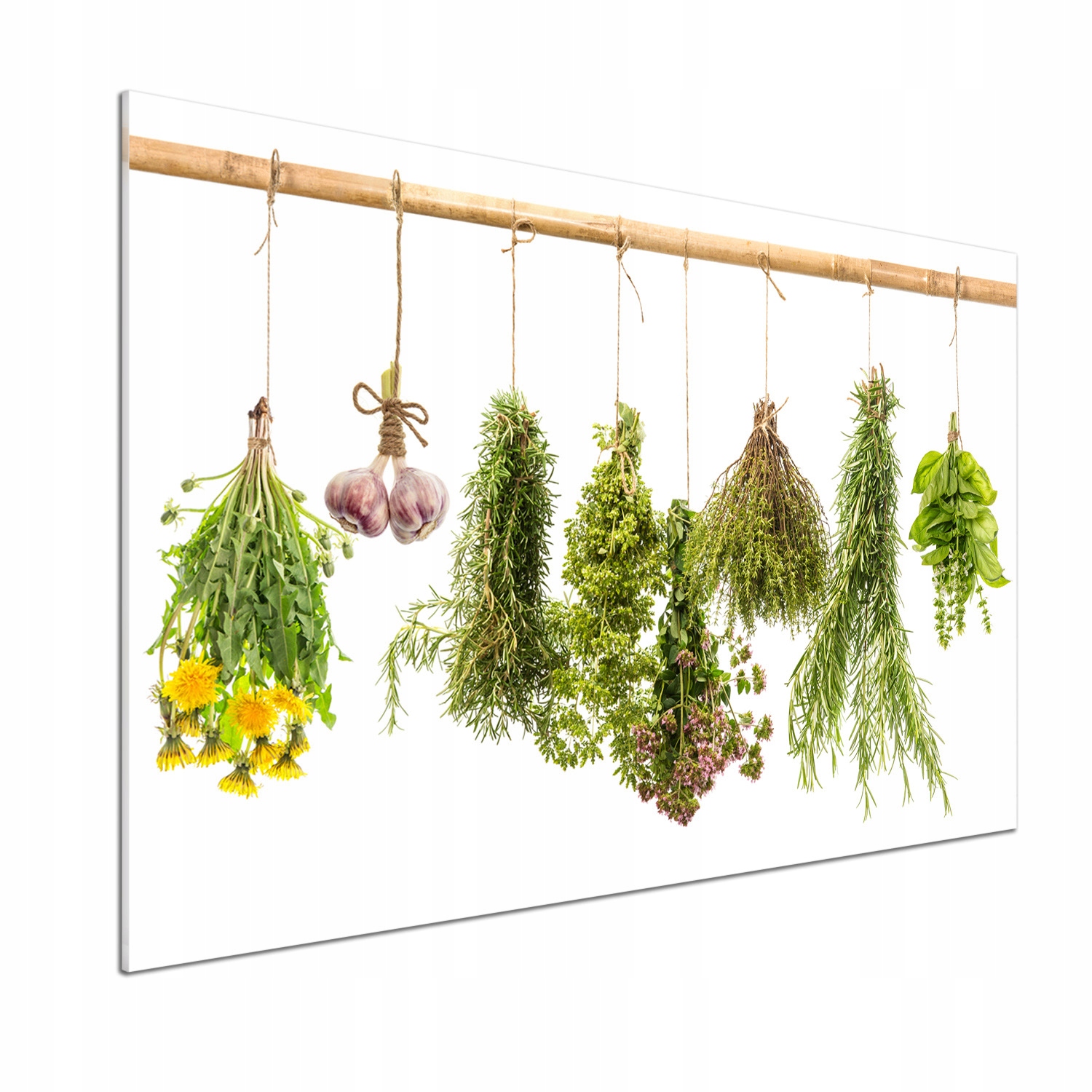 Panel do kuchyne Bylinky na šnúrke 100 x 70 cm Lepidlo