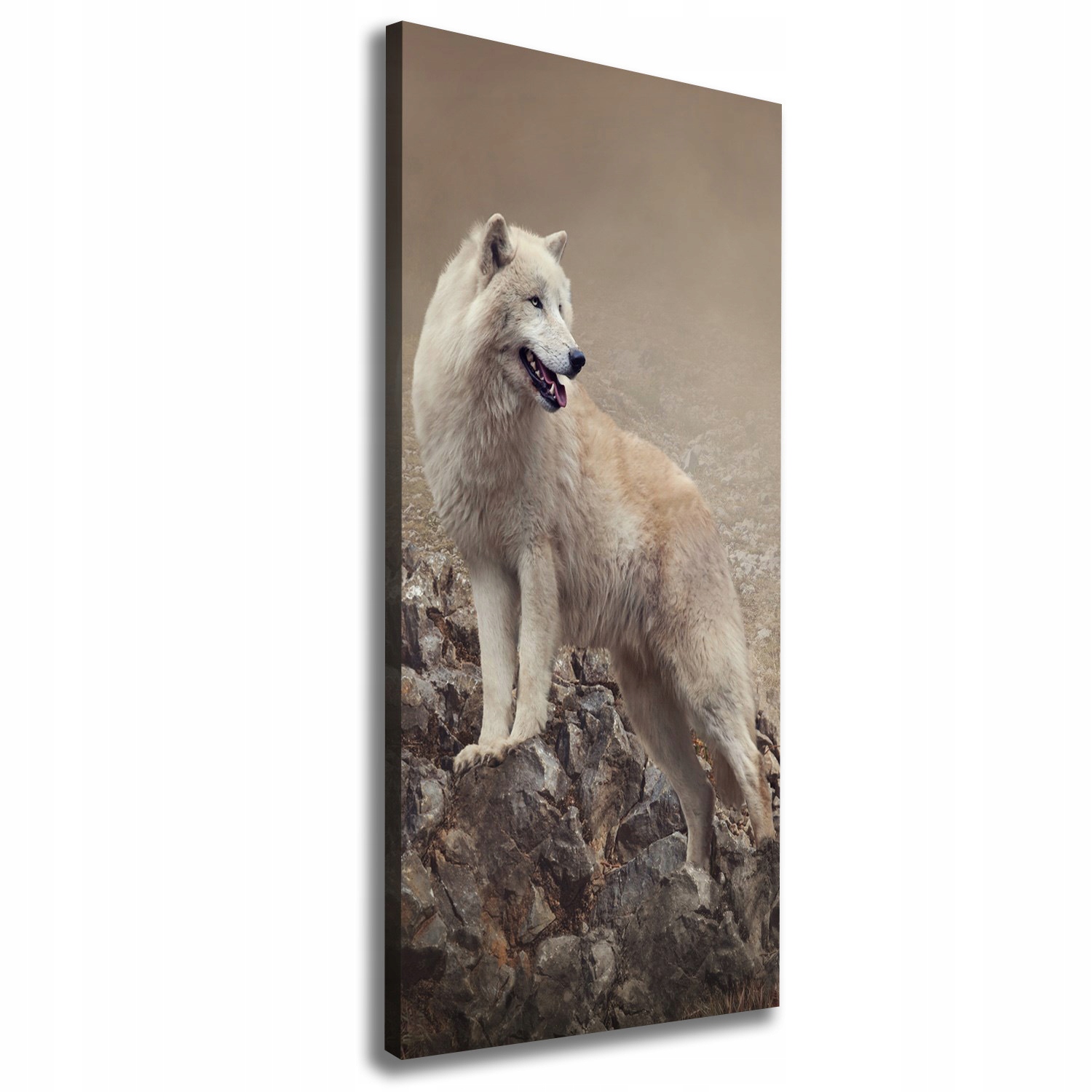 

Foto obraz canvas na ścianę Wilk na skale 50x125cm