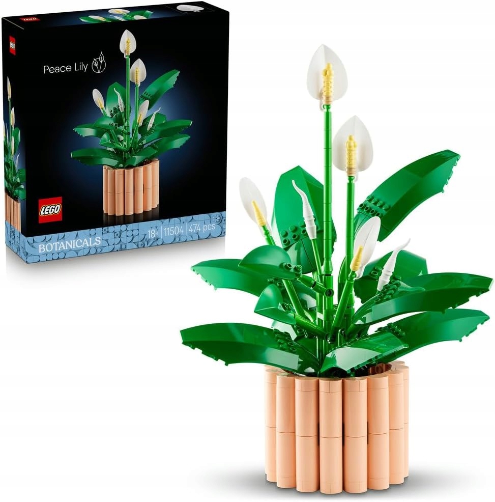 Lego Botanicals Křídlokvět 11504 – Květiny z kostek Dekorace
