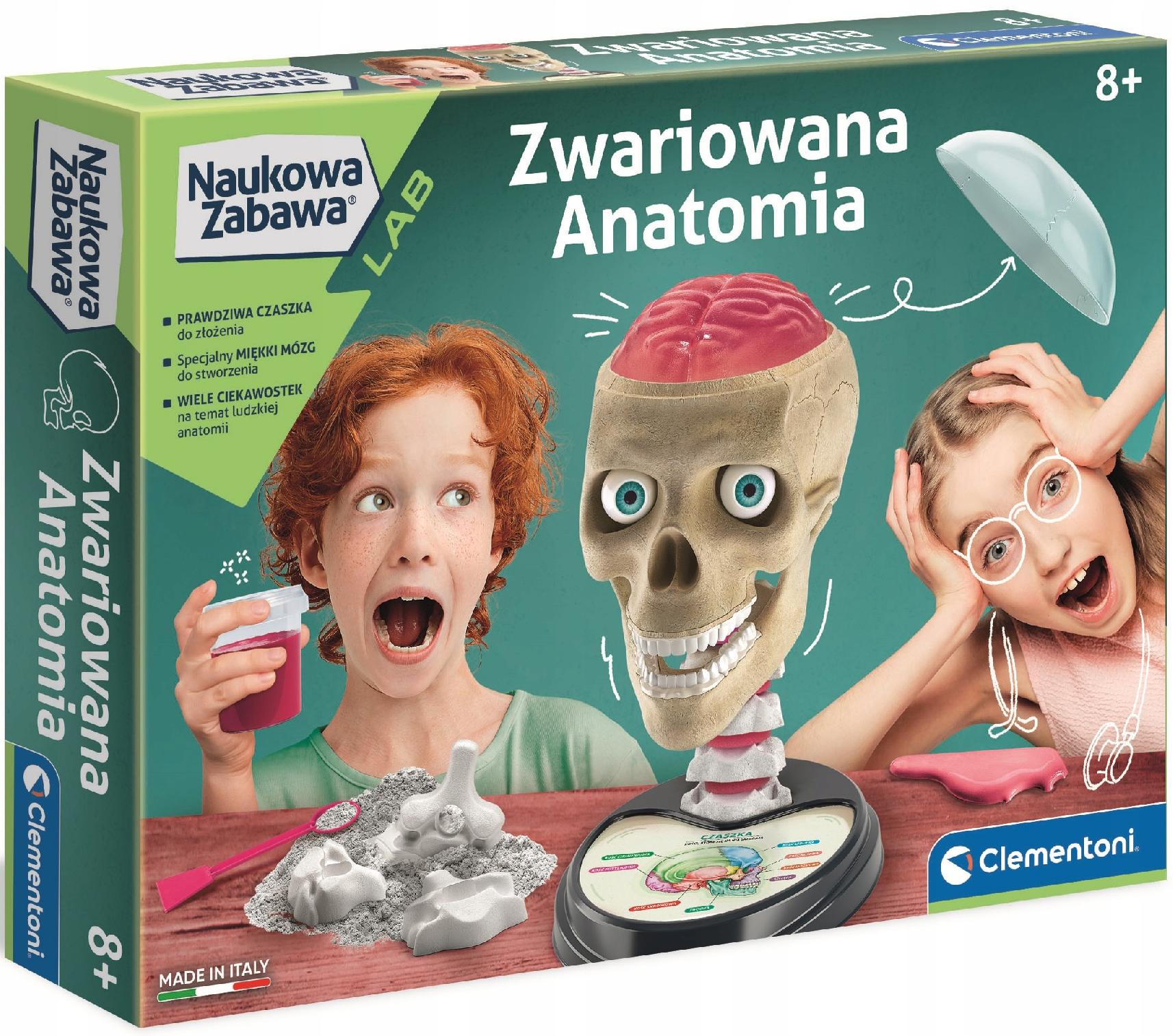 

Naukowa Zabawa Zwariowana Anatomia Zabawa Nauka 8+