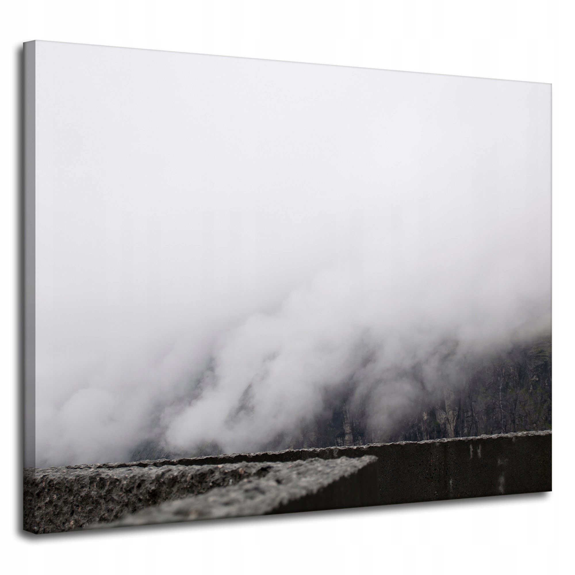 Obraz Canvas Příroda Mlha Hustá jako Mléko 100x80 cm