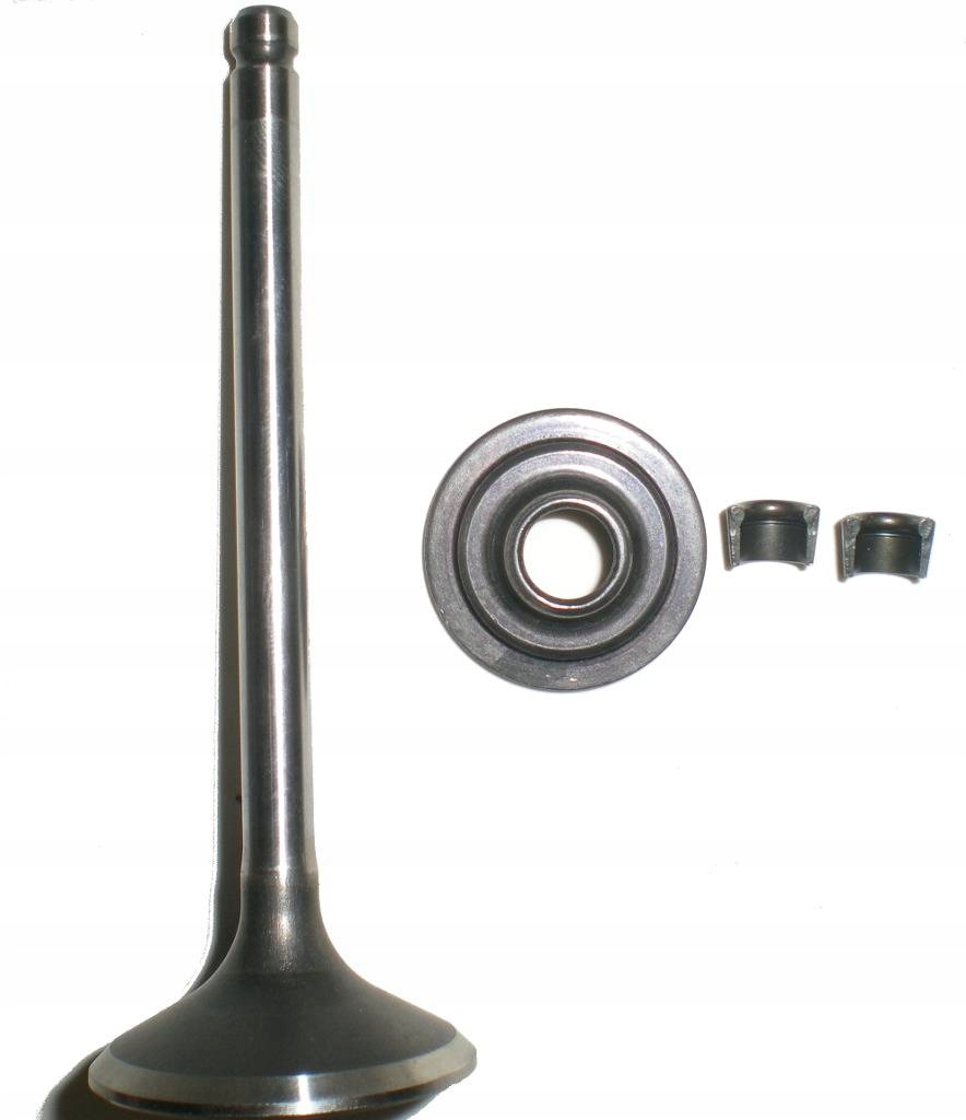 

Zawór Wydechowy Briggs 792868 695760