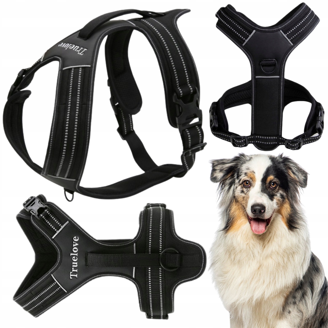 Levně Obojky Pro Psa Easy Walk Silné S Rukojetí Truelove Security Černé L