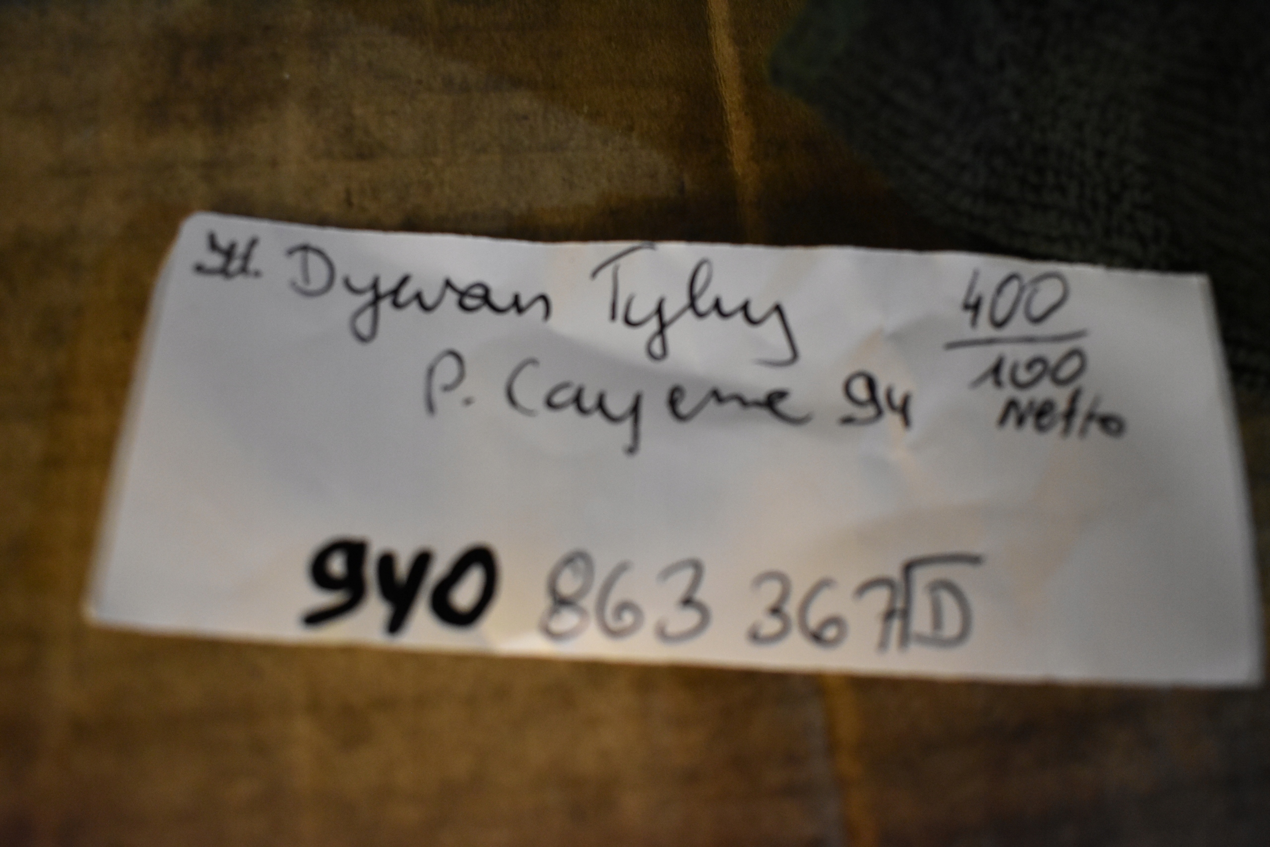 DYWAN hátsó far PORSCHE CAYENNE 9Y 1