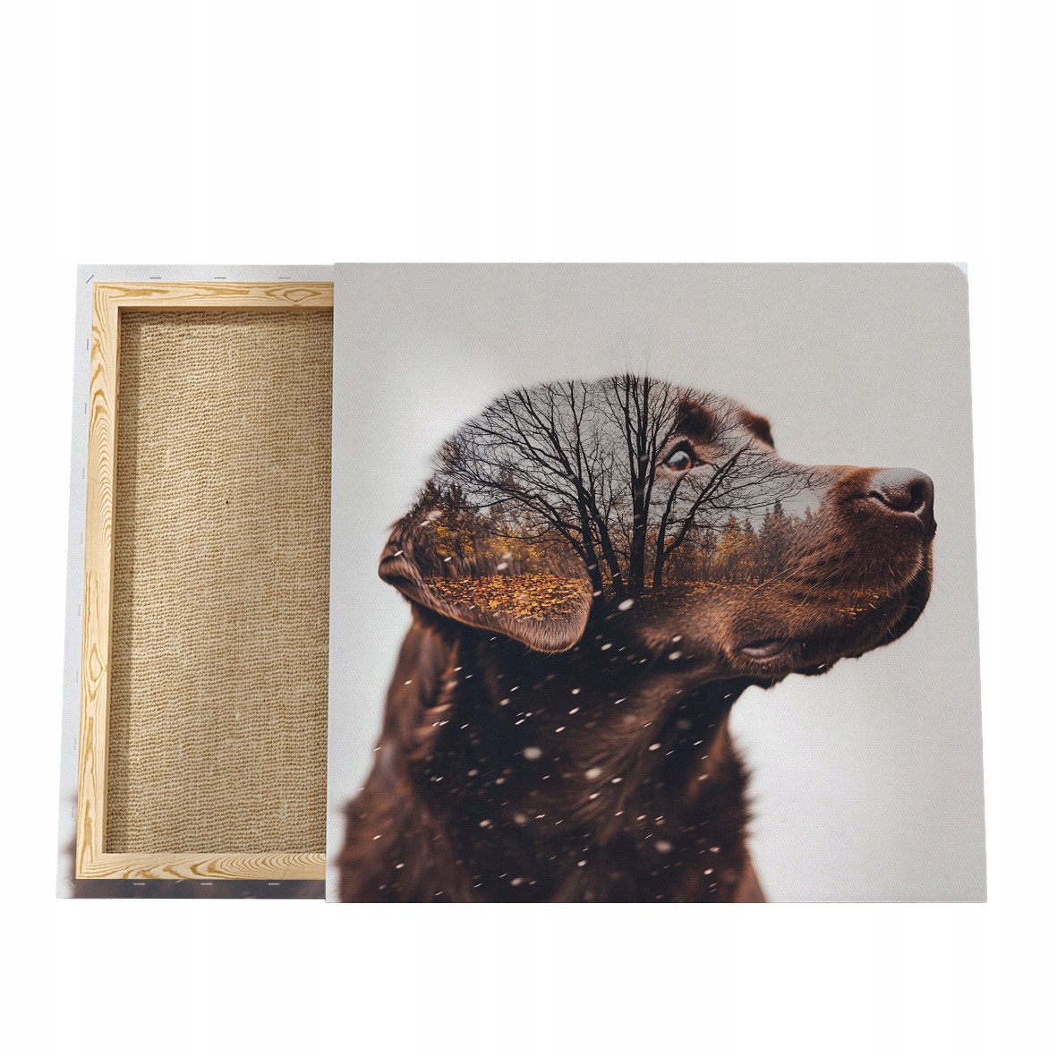 Obraz se psem Plátno Labrador Obraz s labradorem Pes Obraz, Portrét psa